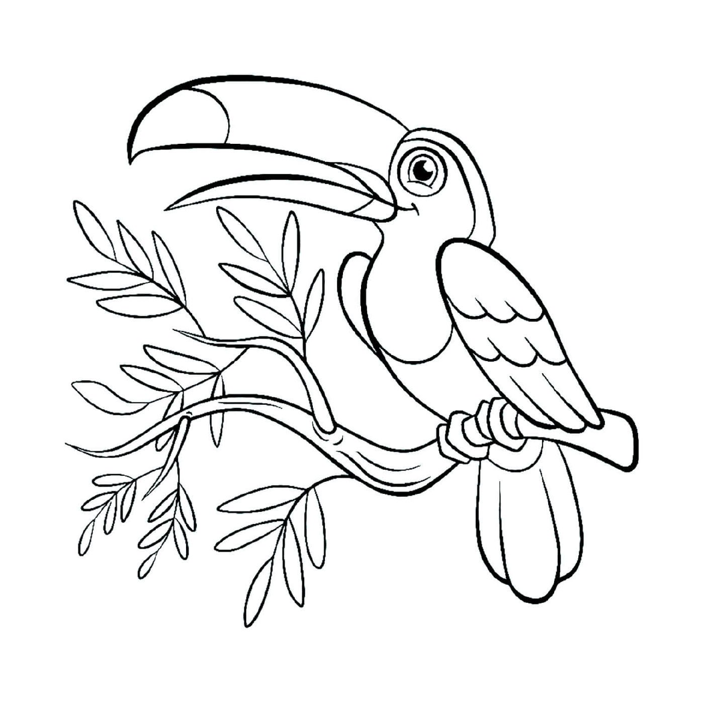  Toucan toco sitting on a branch 
