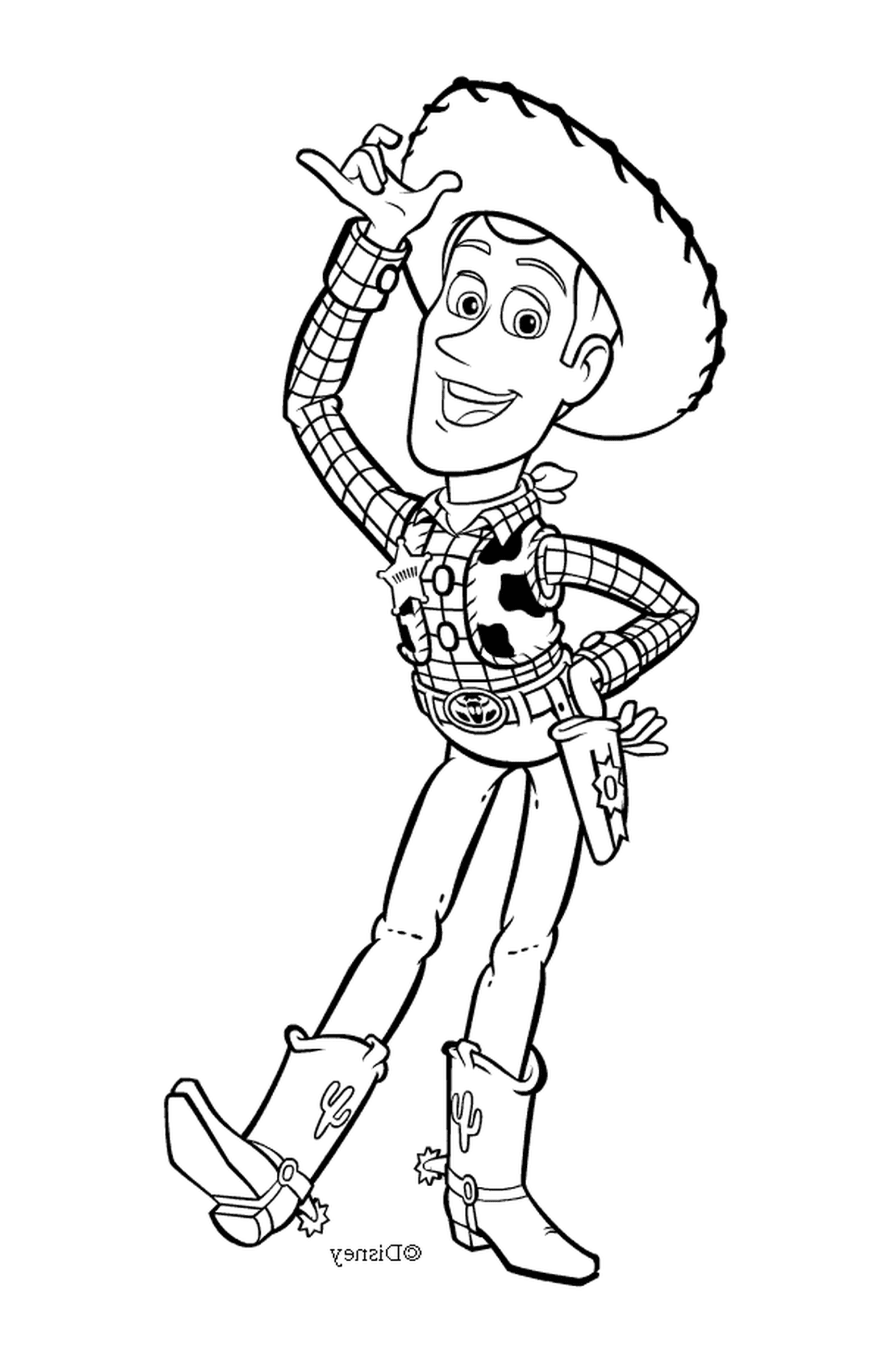  Woody, the intrepid sherif 