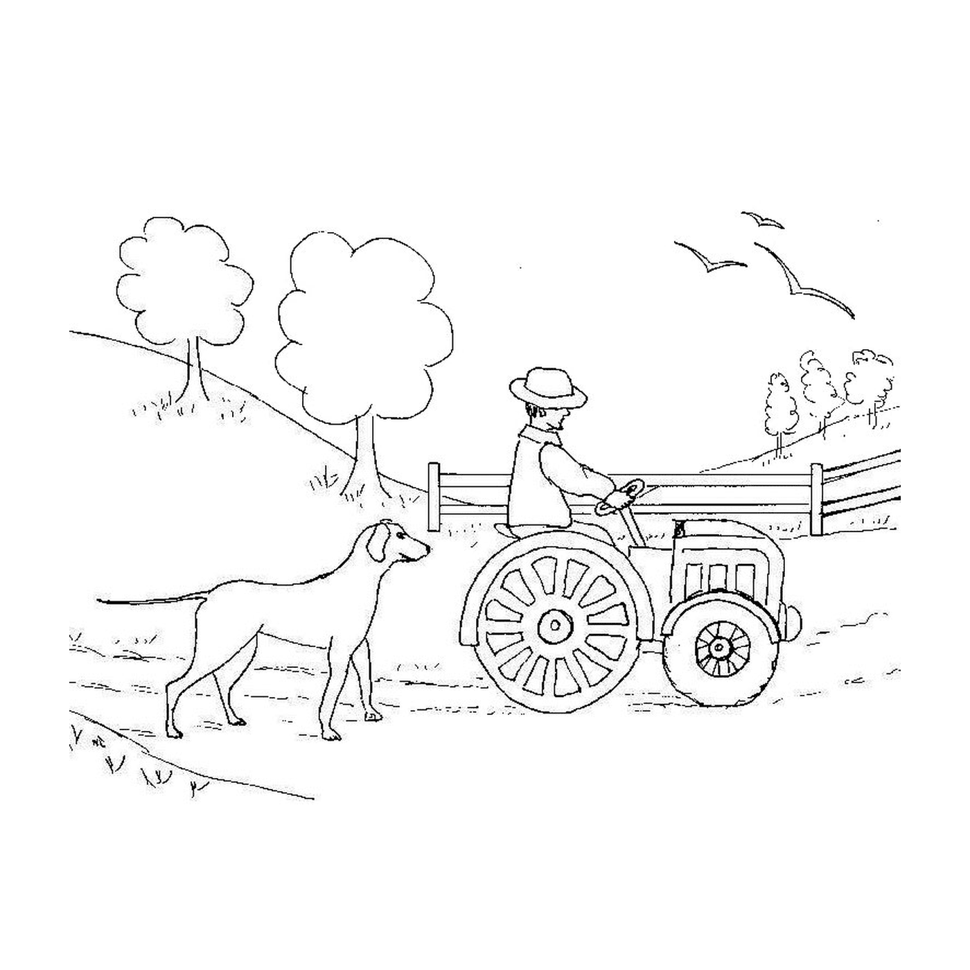  Hombre led tractor granja 
