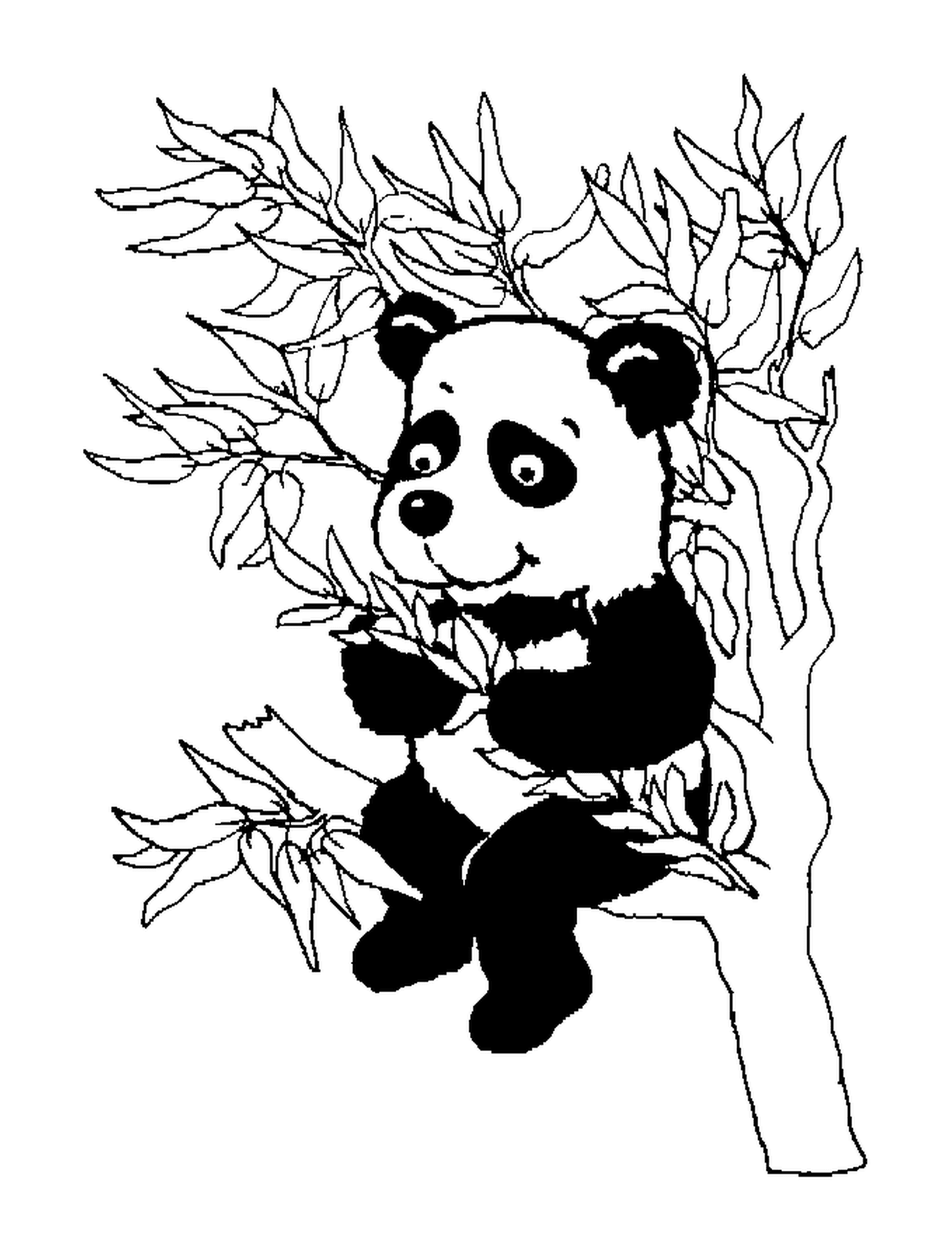  Un panda en un árbol 