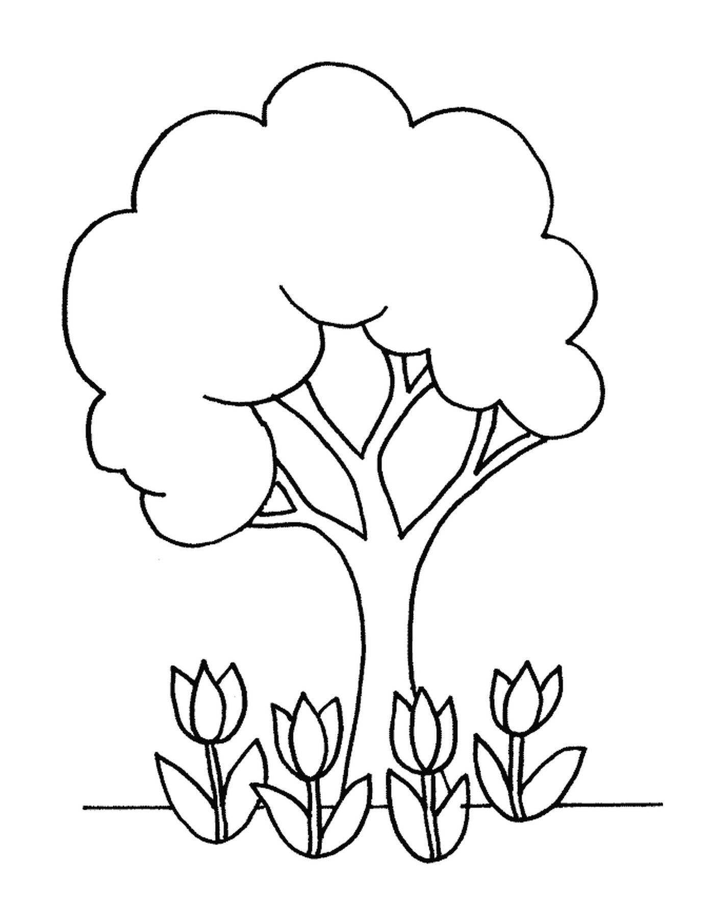  A tree and tulips 