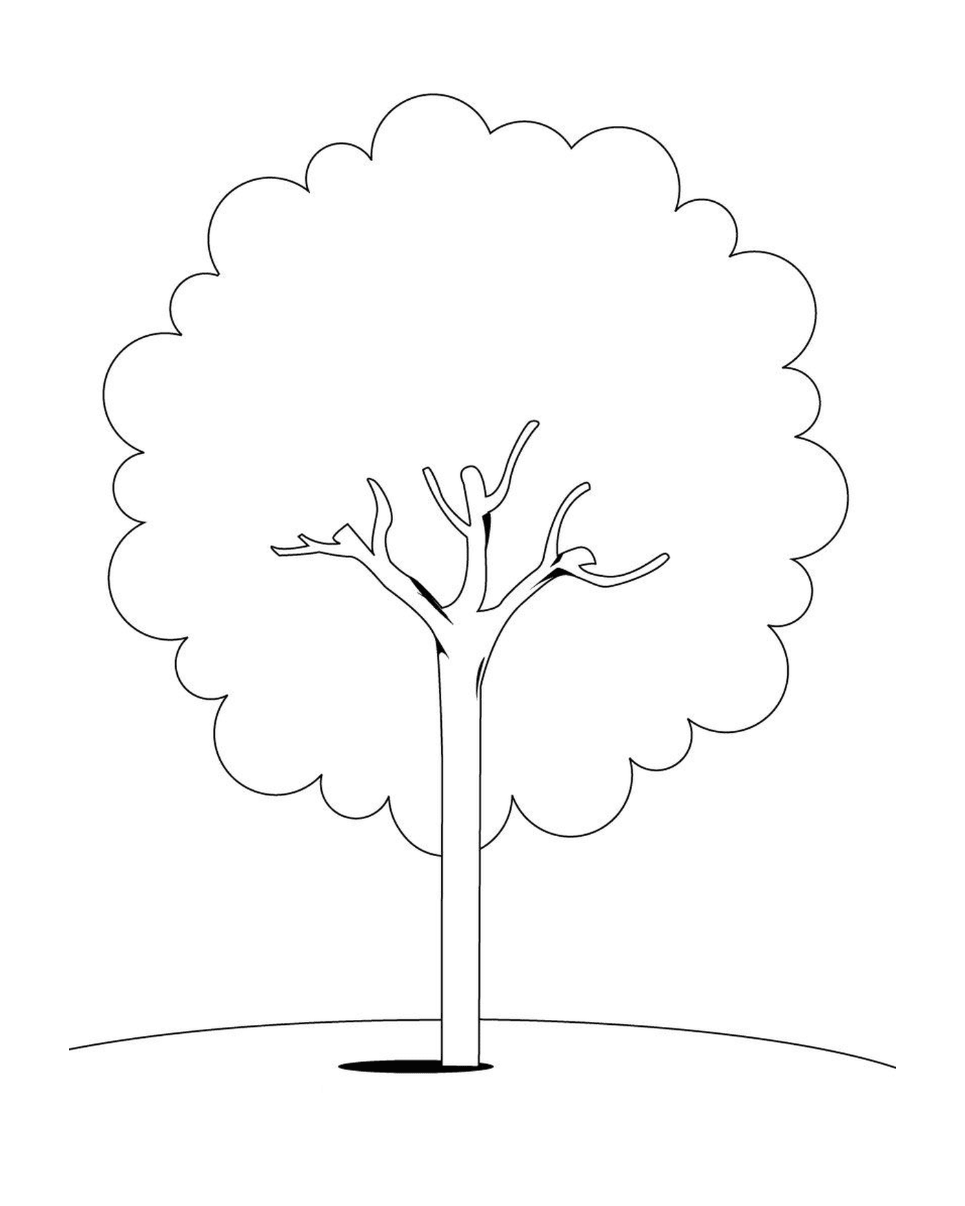 Un'immagine di un albero 
