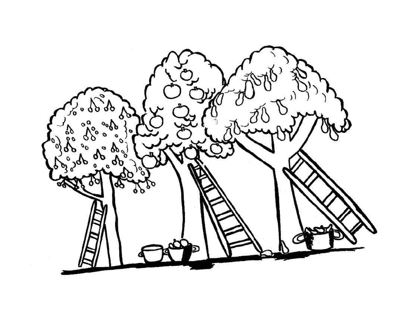  Trees and ladders 