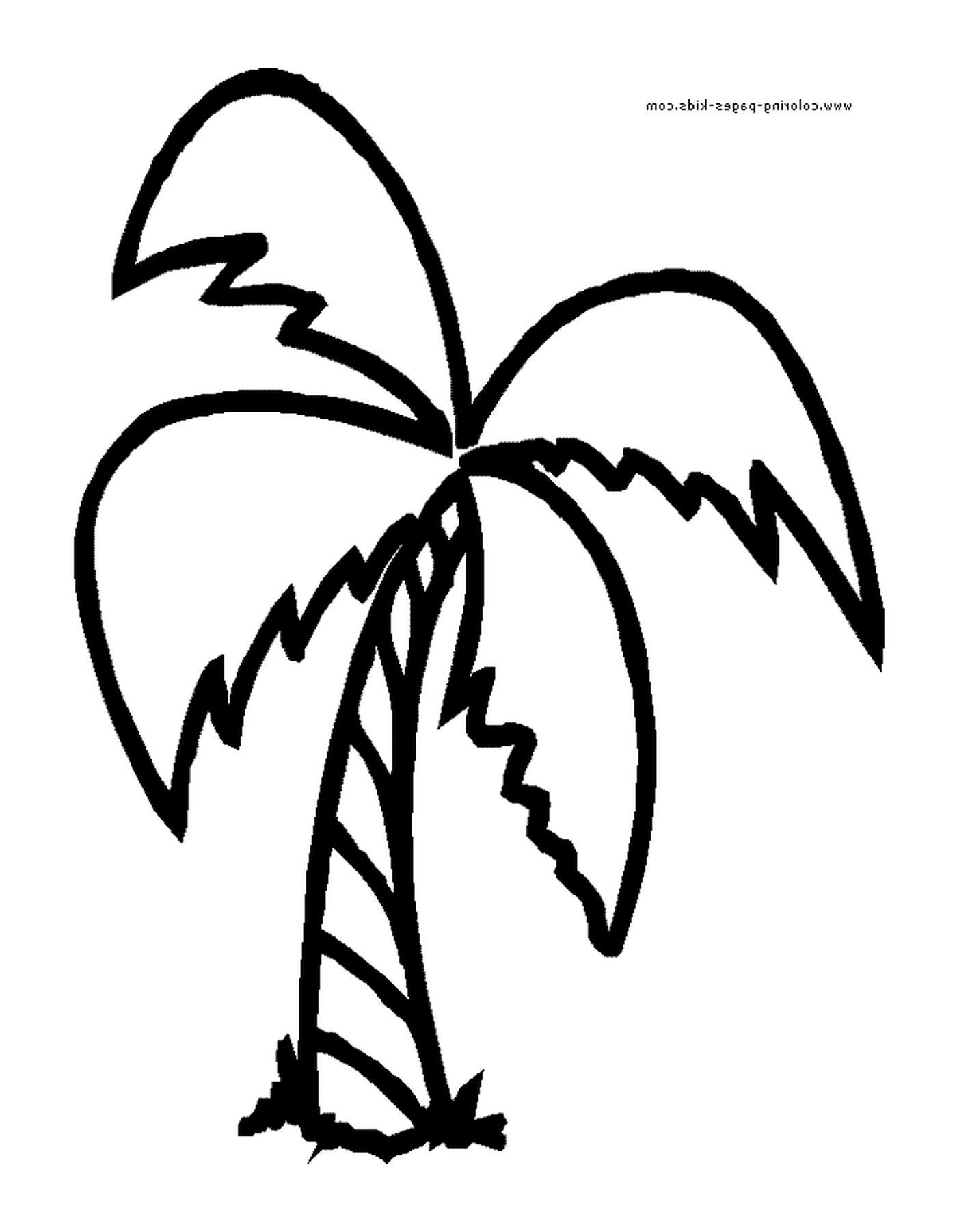  Eine Palme 