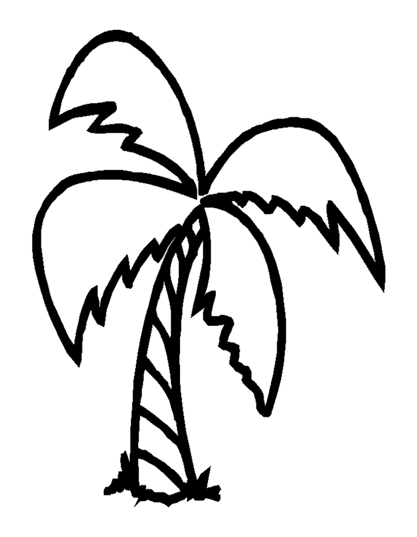  A palm tree with 4 branches 