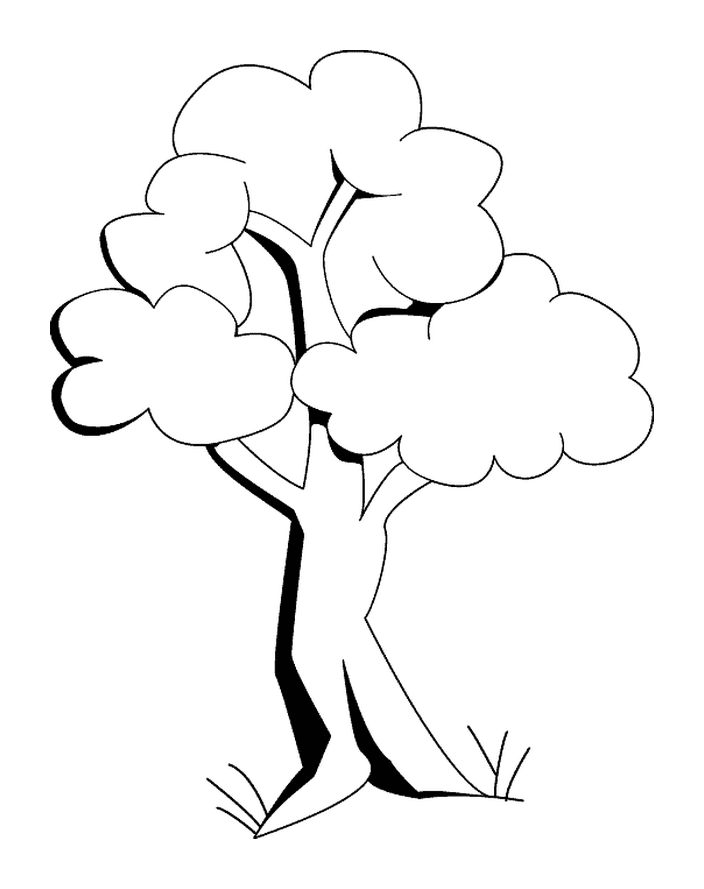  A coloring tree 