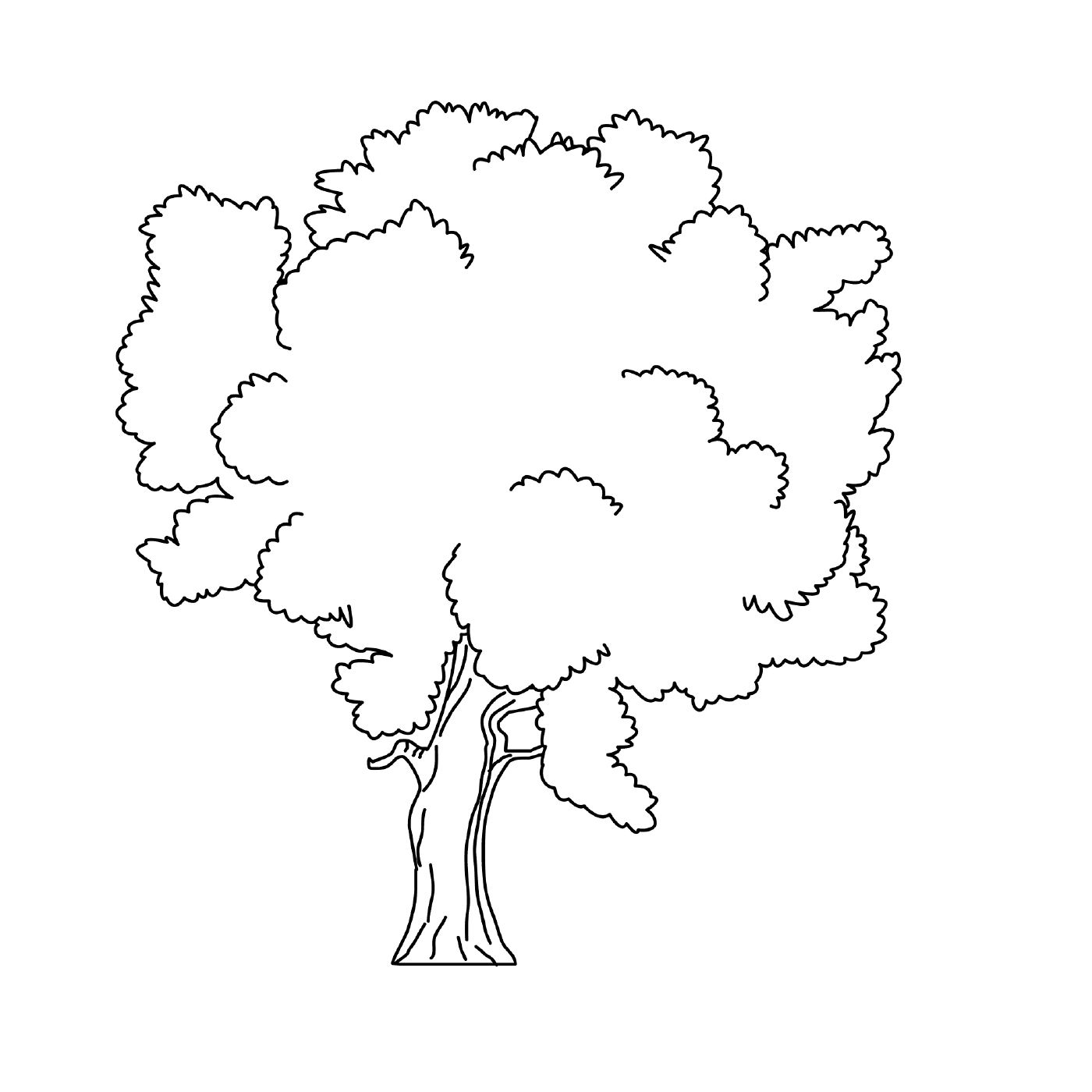  Un albero 