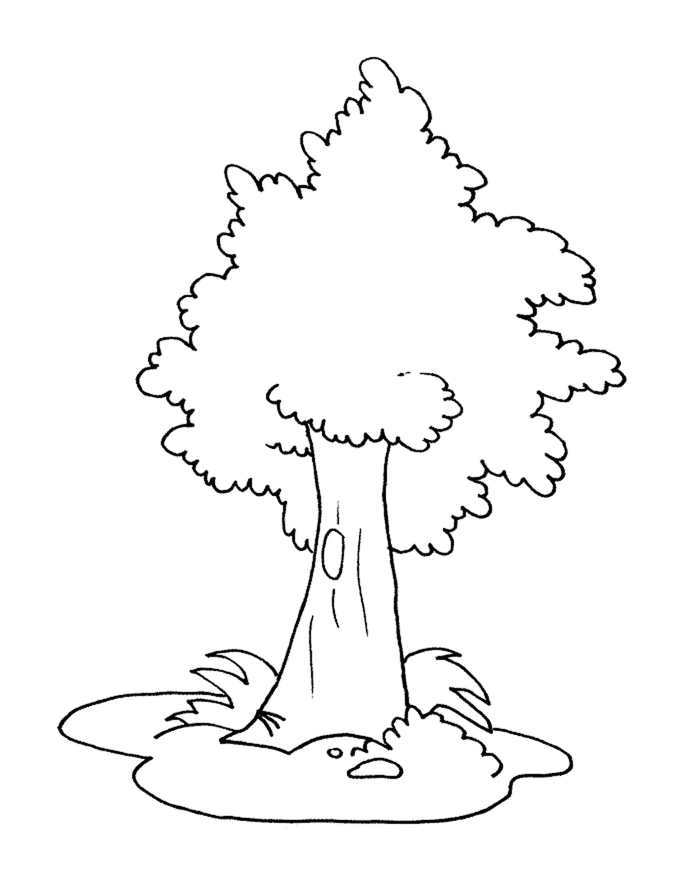  A coloring tree 
