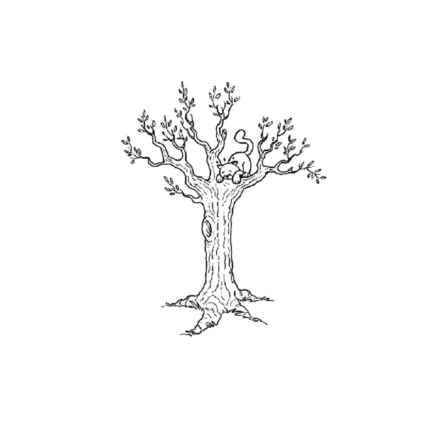  Una ardilla sentada en el tronco de un árbol 