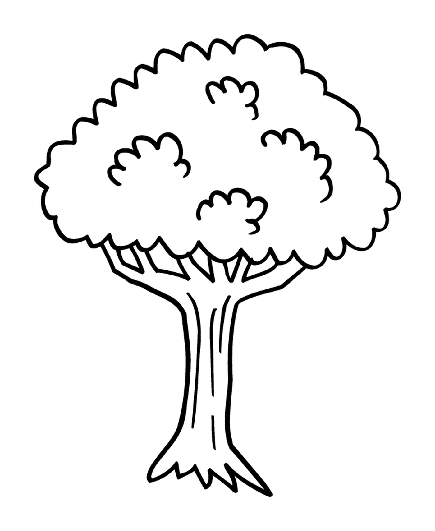  A tree 