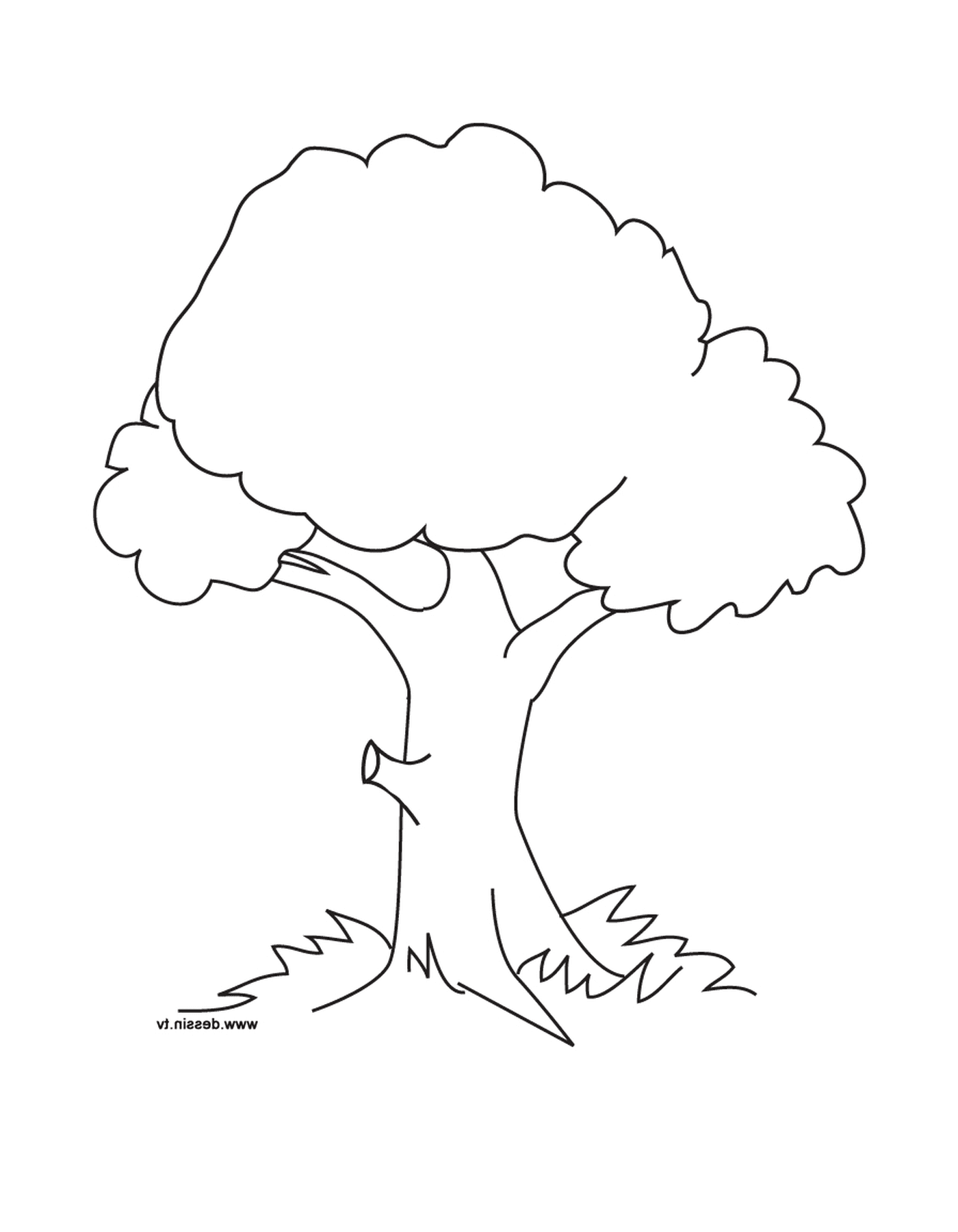  дерево 