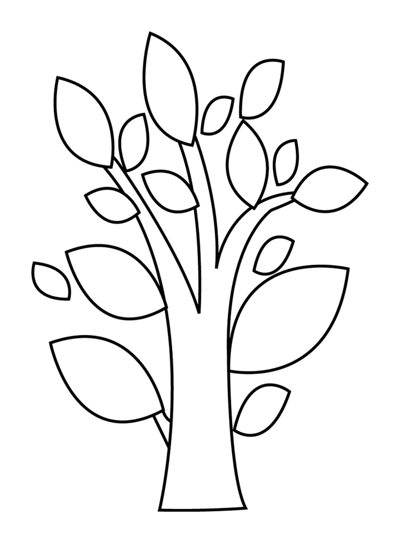  Un árbol caducifolio 