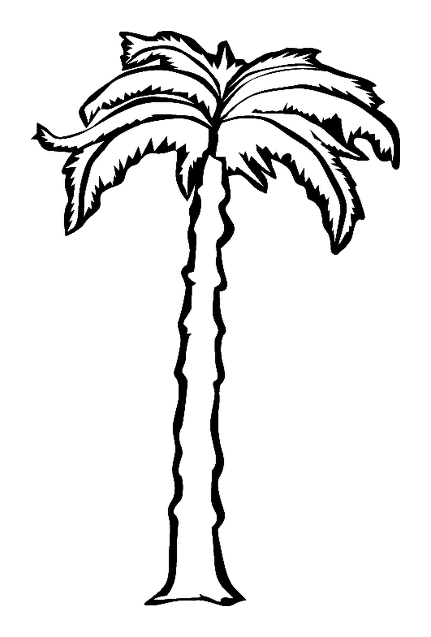  A palm tree with a long trunk 