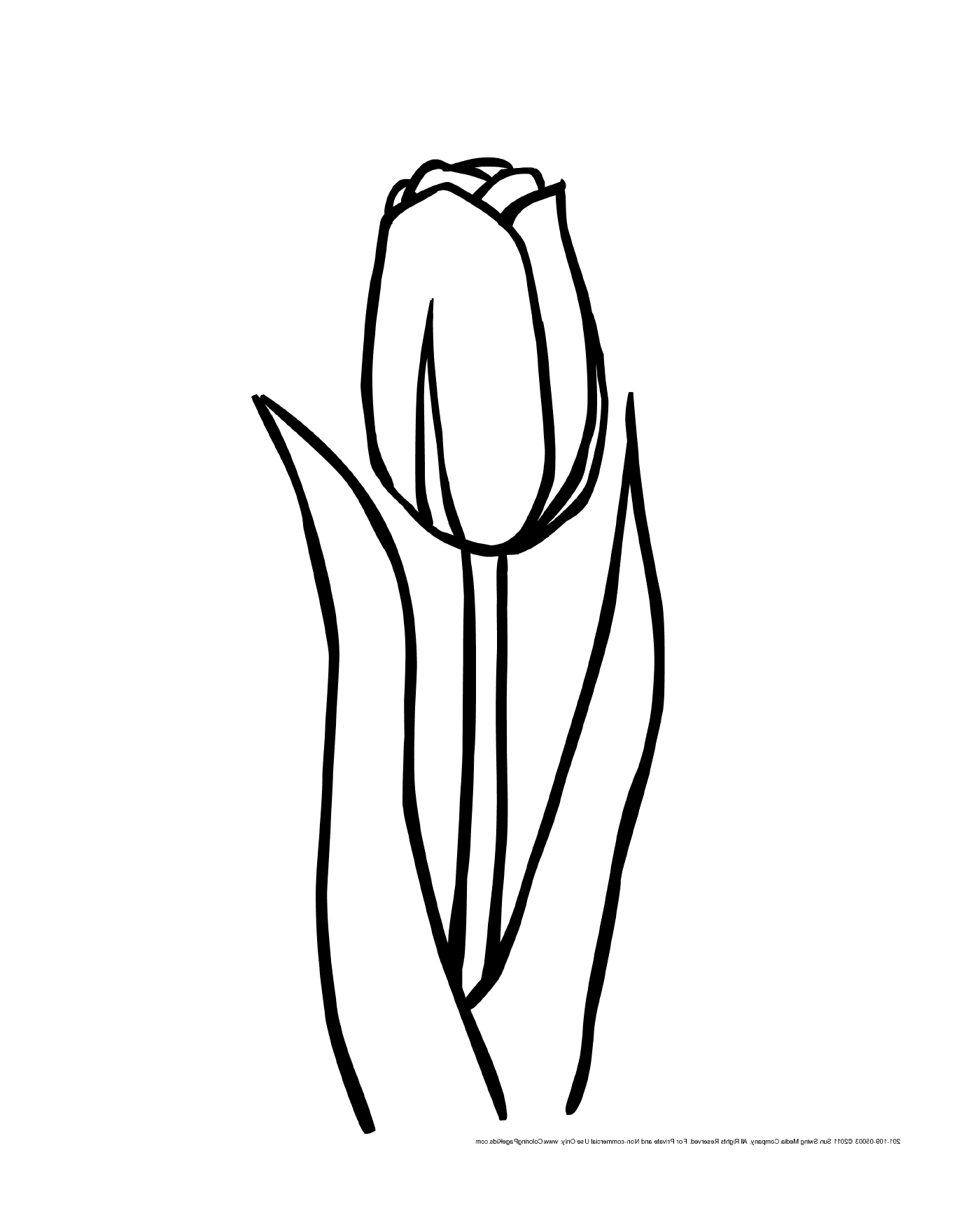  Цветок тюльпана в цветке 
