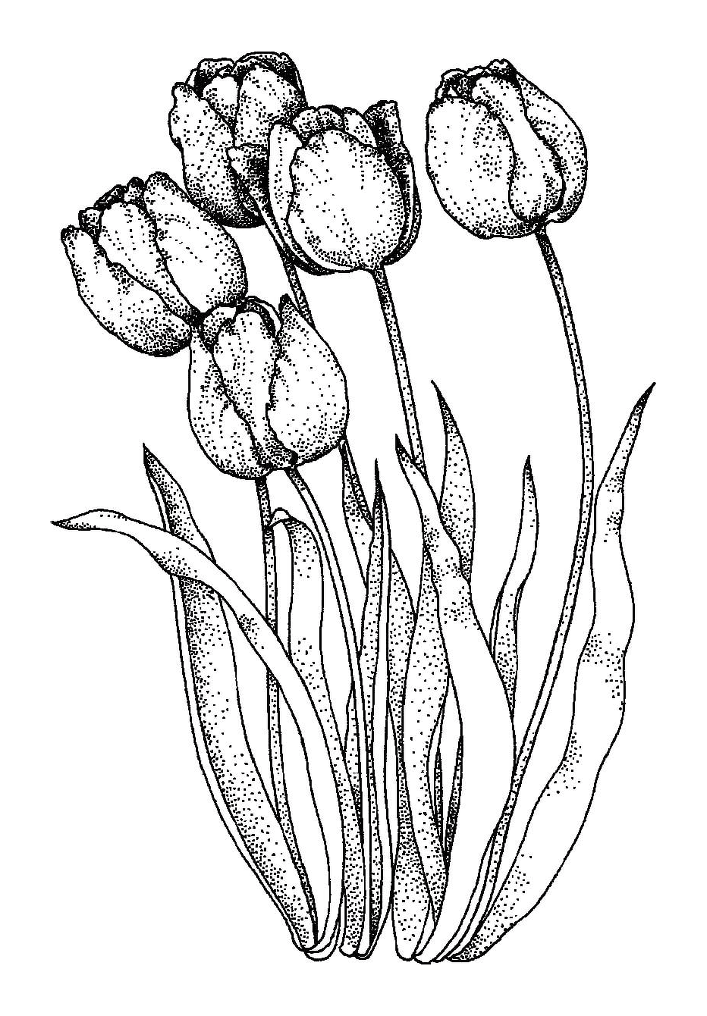  Group of flowers 