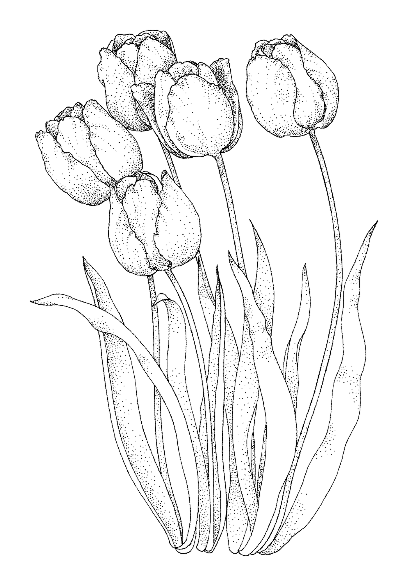  Group of flowers in grass 
