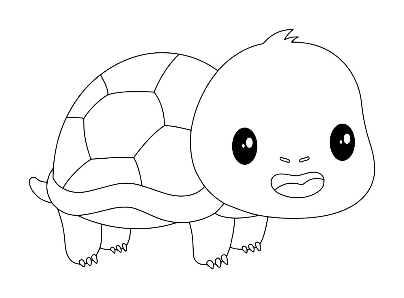  Tartaruga piccola kawaii 