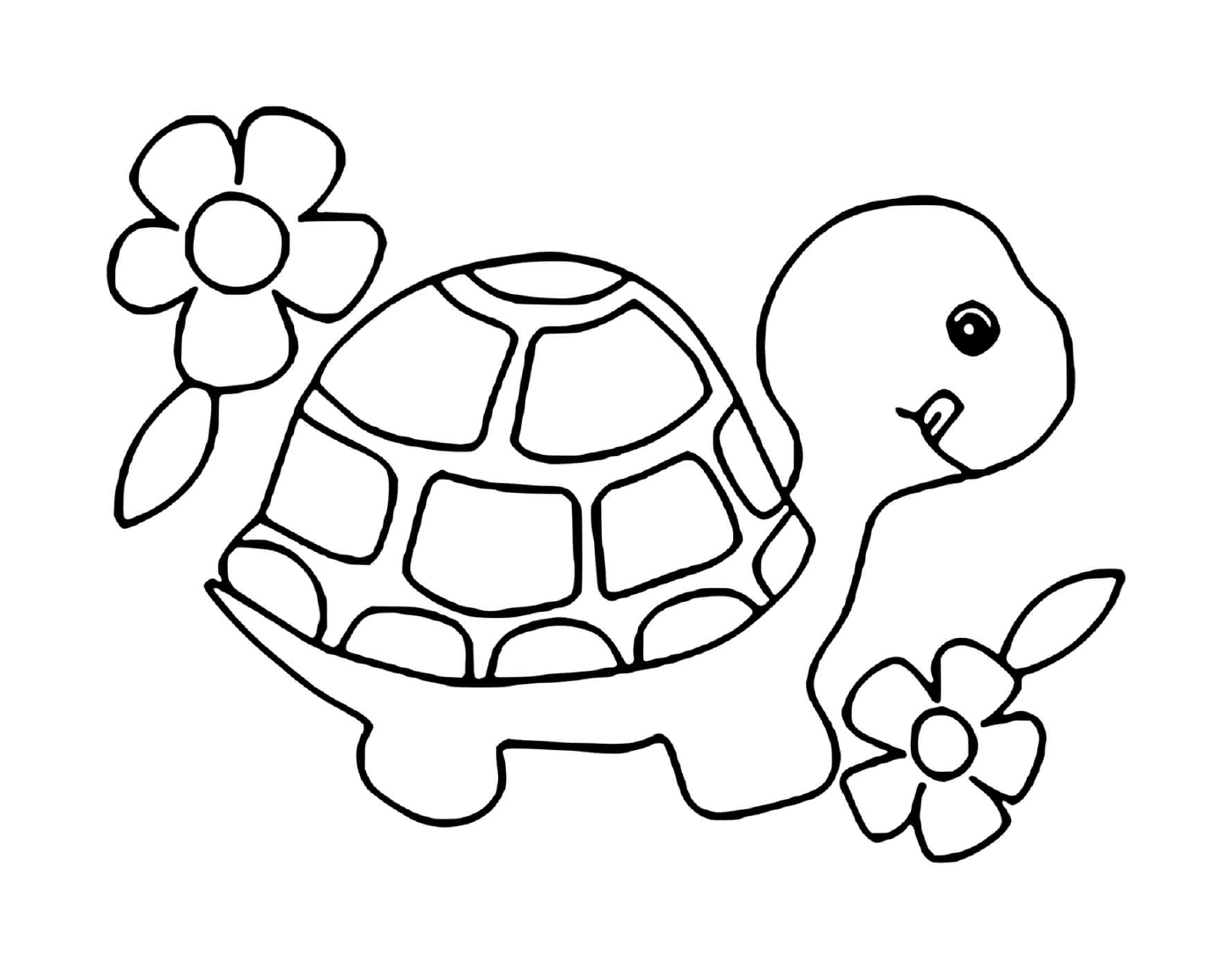  Маленькая черепаха с цветами 