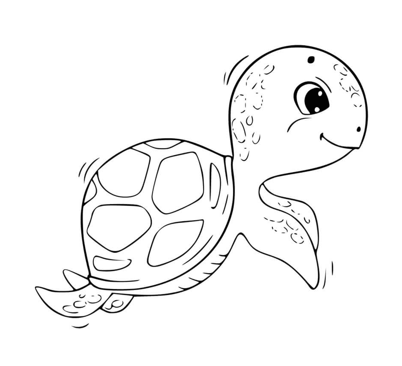  Easily maternal turtle 