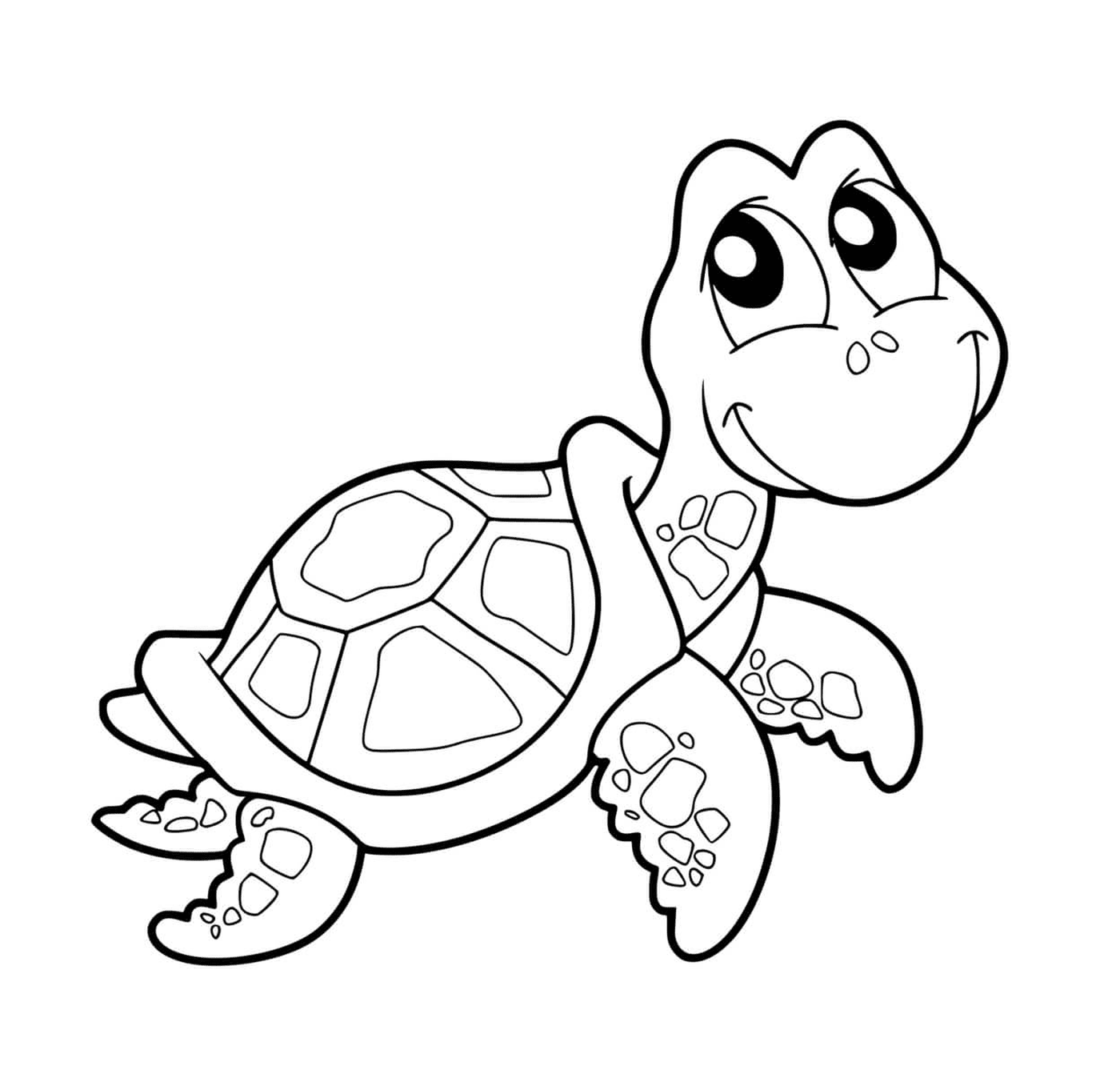  Легкая черепаха с ракушками 