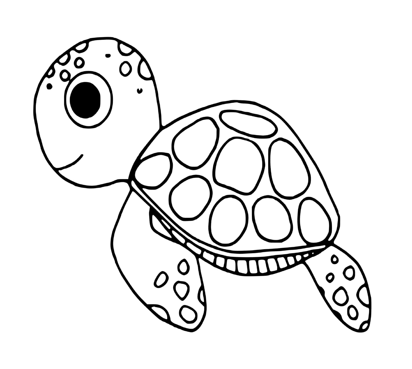  Очаровательная черепаха под морем 