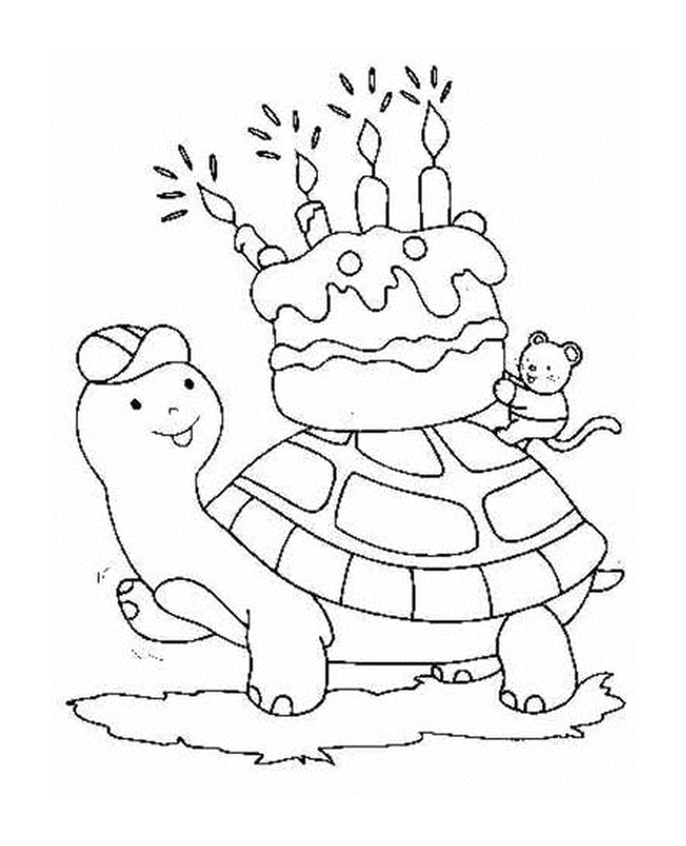  Turtle wears a birthday cake 