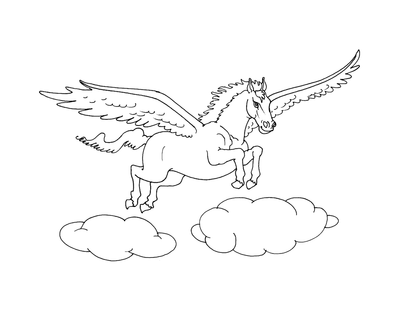  winged horse flying over clouds 
