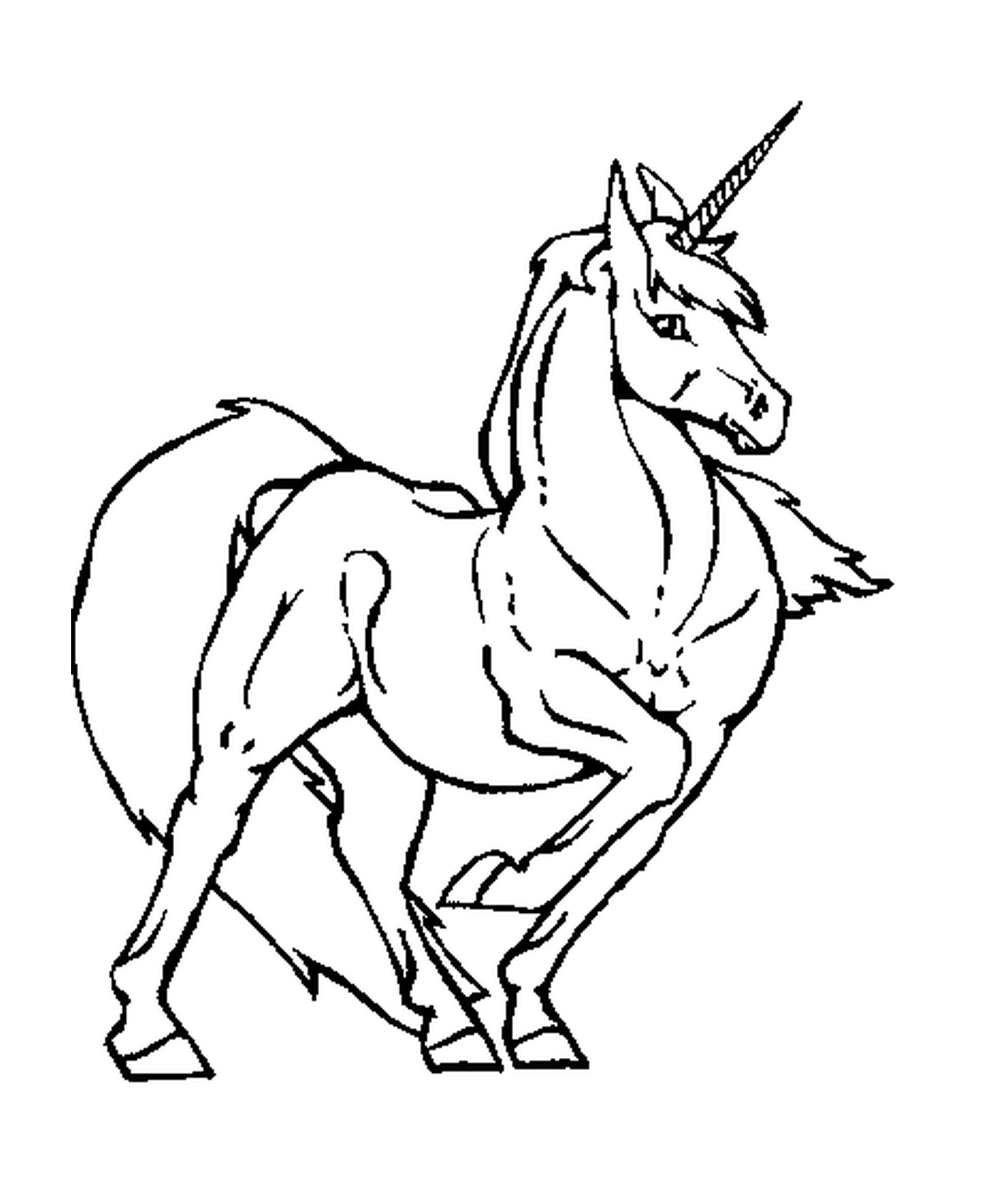  a unicorn 