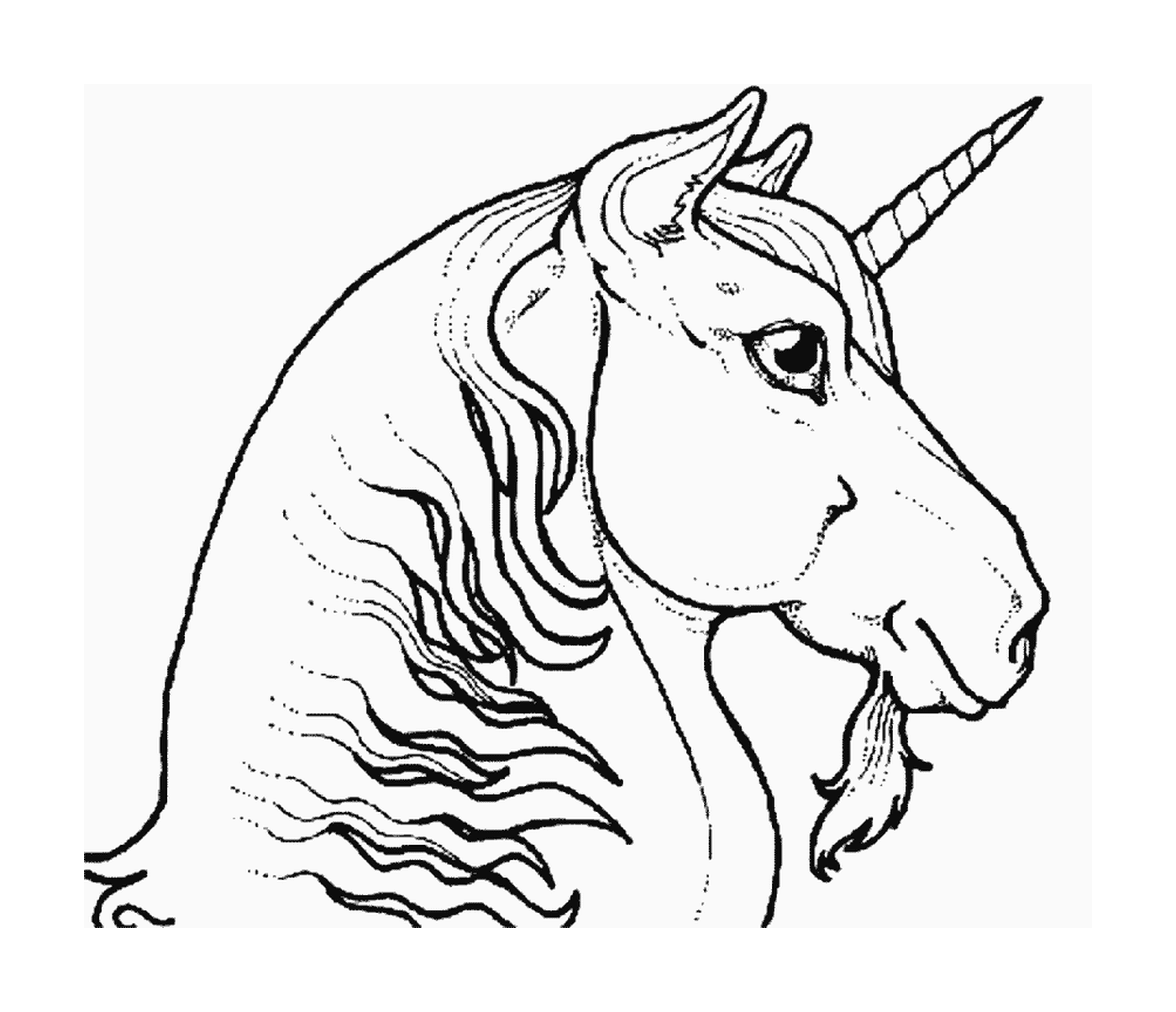  adult unicorn head 