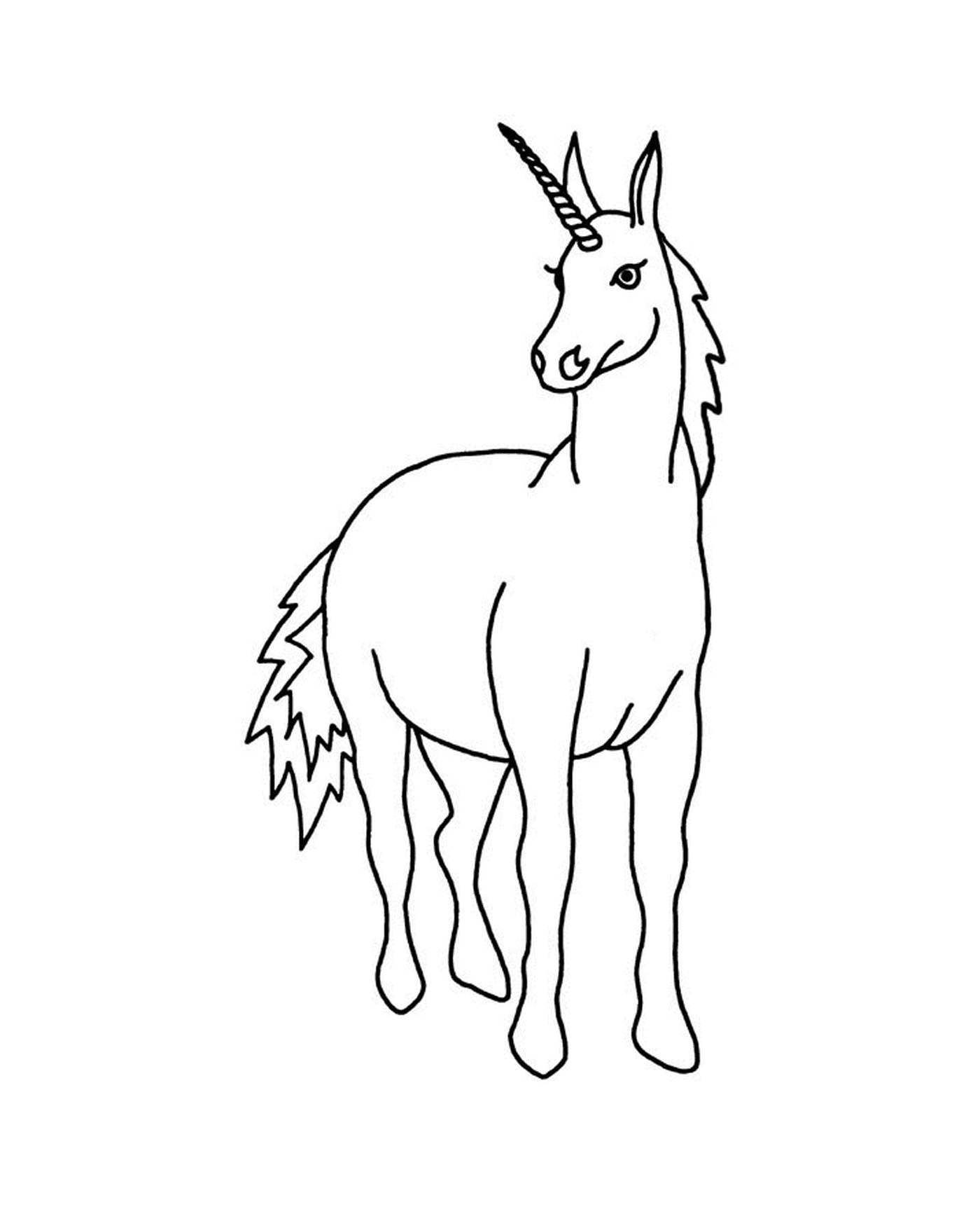  face of a unicorn 
