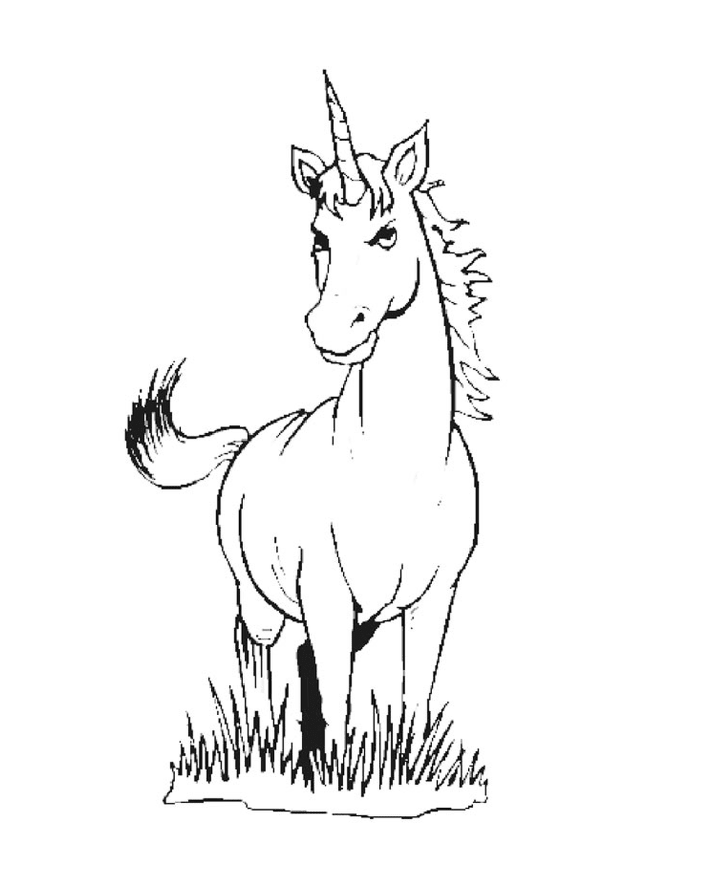  adorable and sweet unicorn 