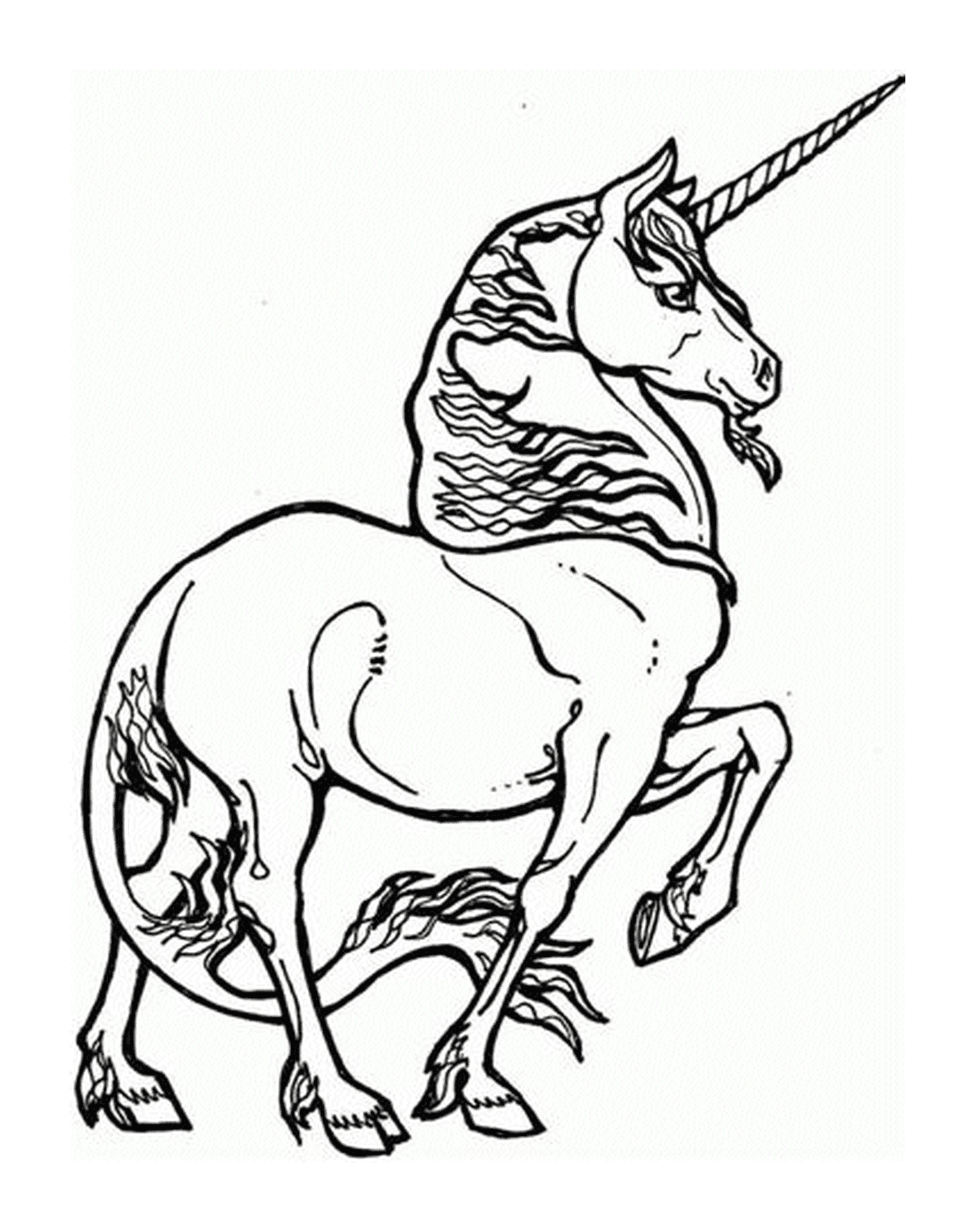  elegante perfil de unicornio 