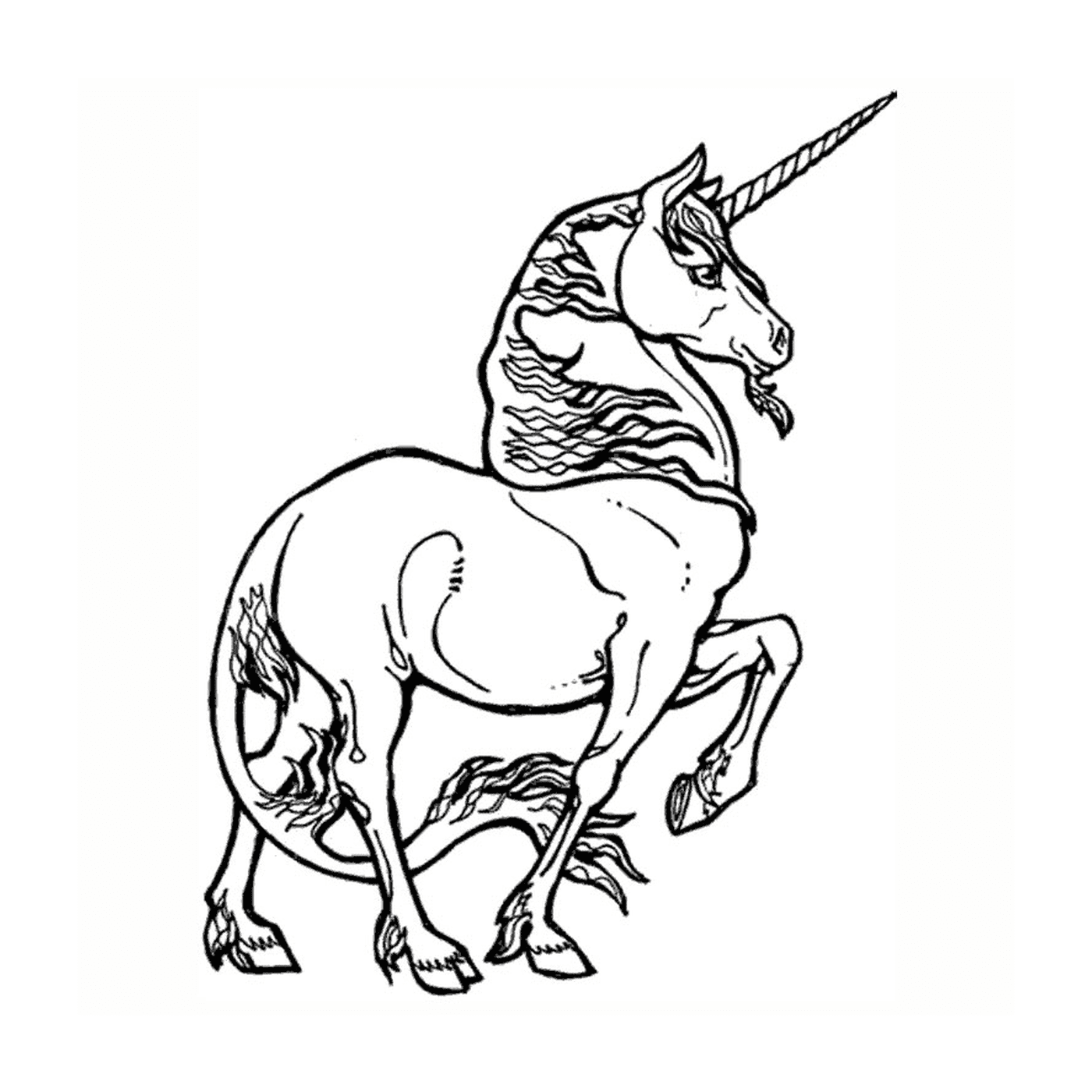  unicorno kawaii adoratore magico 