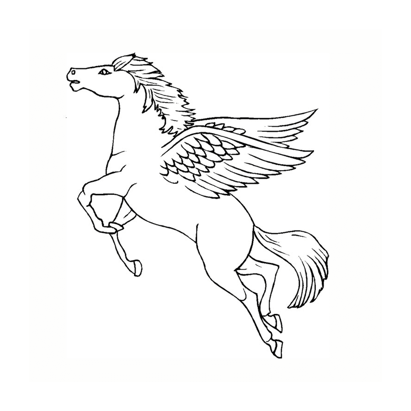  majestic winged horse 