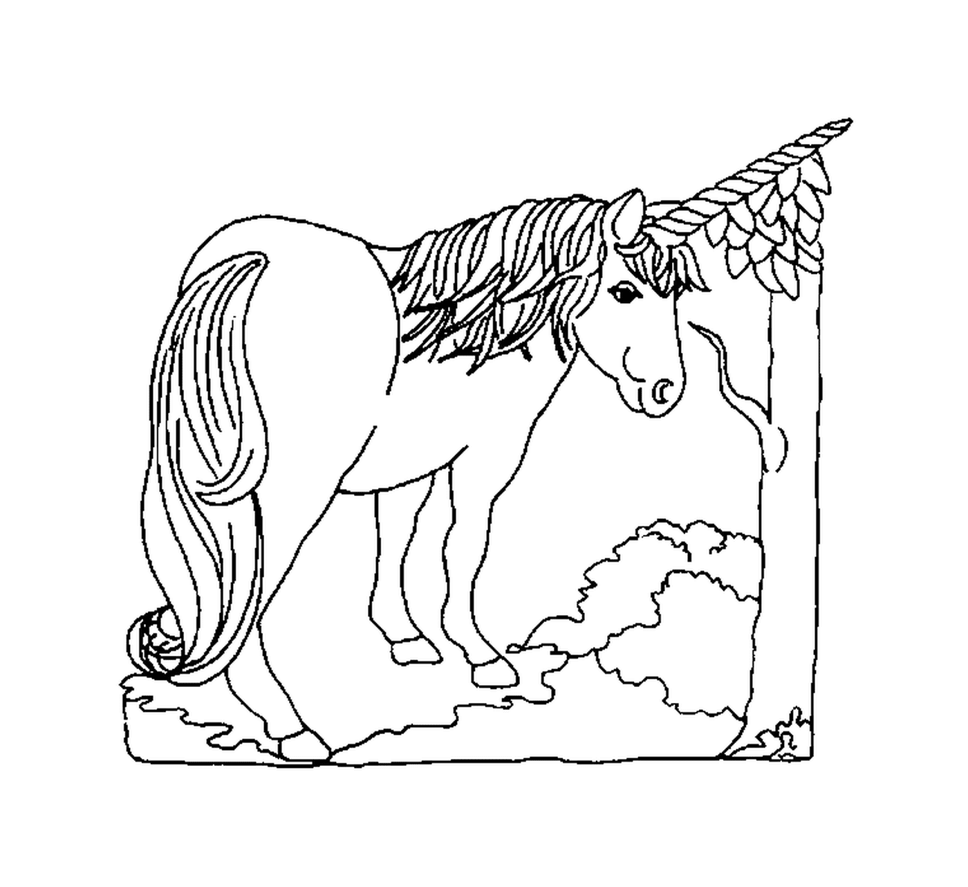  sweet and wonderful unicorn 