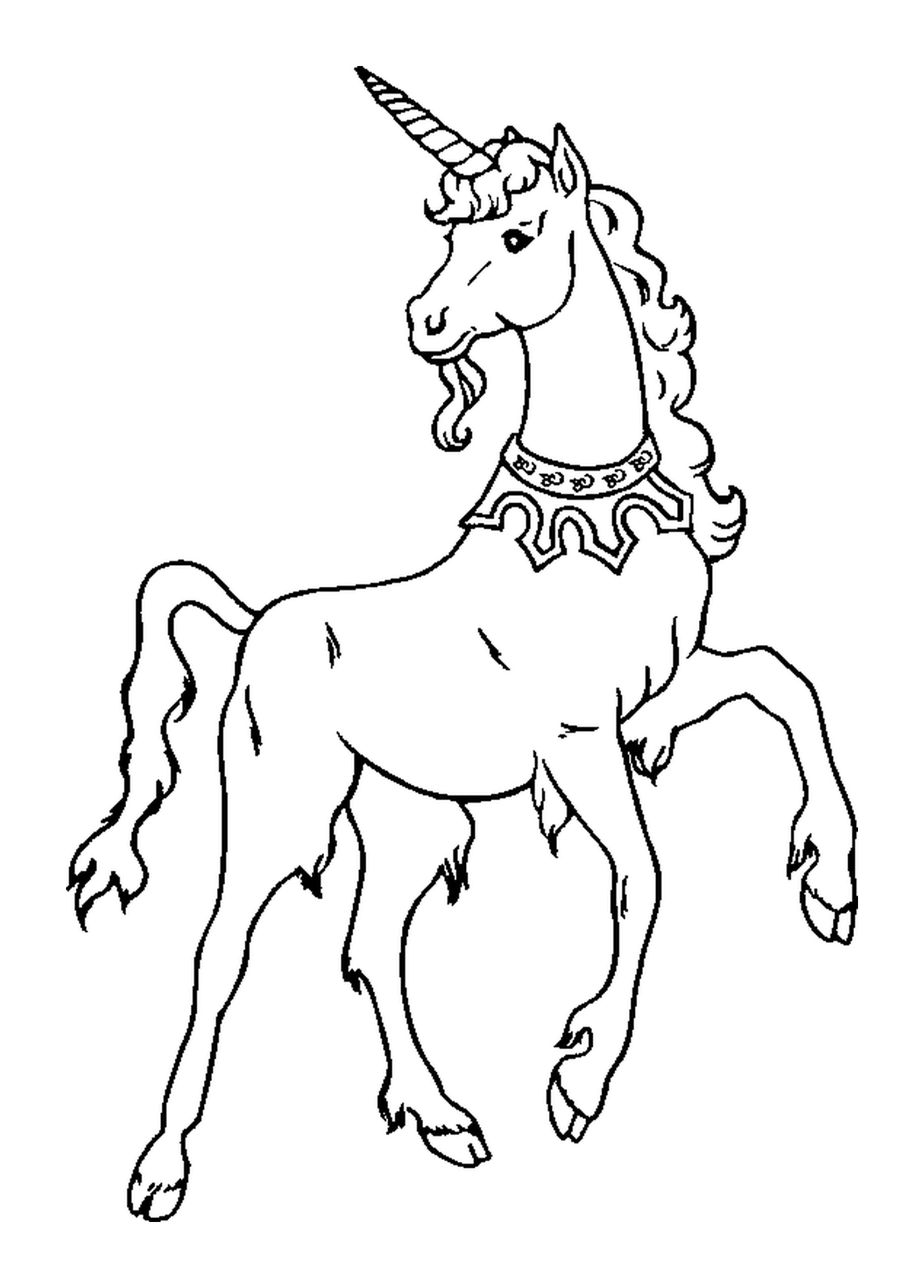  caballo noble y elegante 