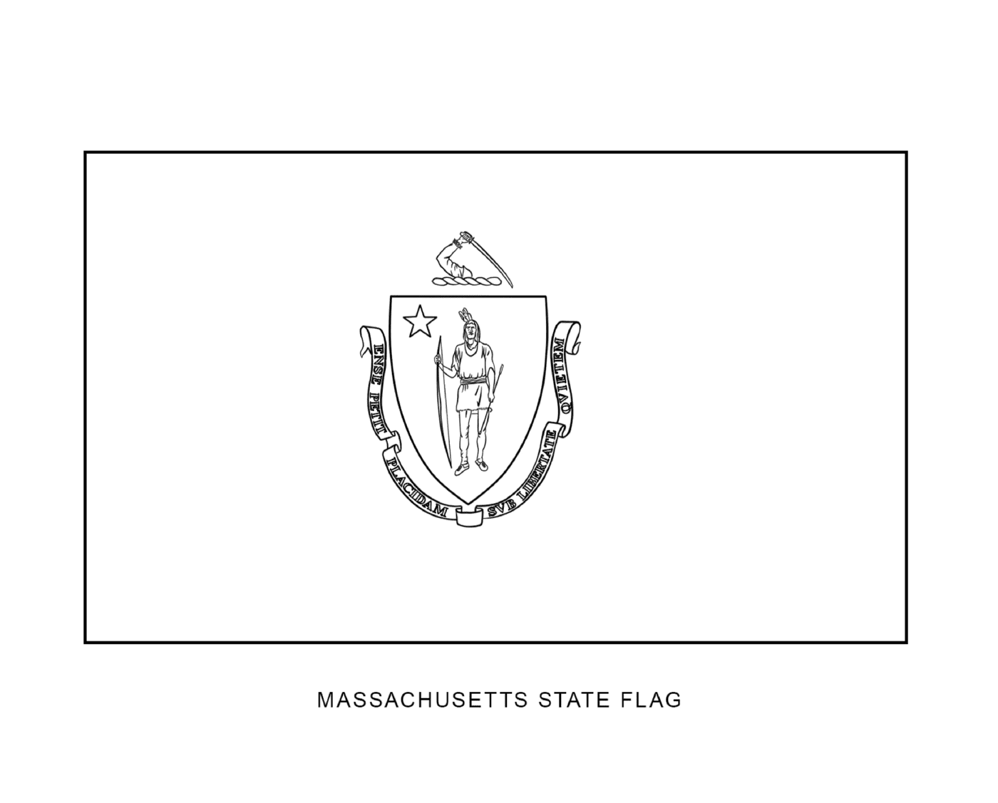  State flag of Massachusetts in black and white 