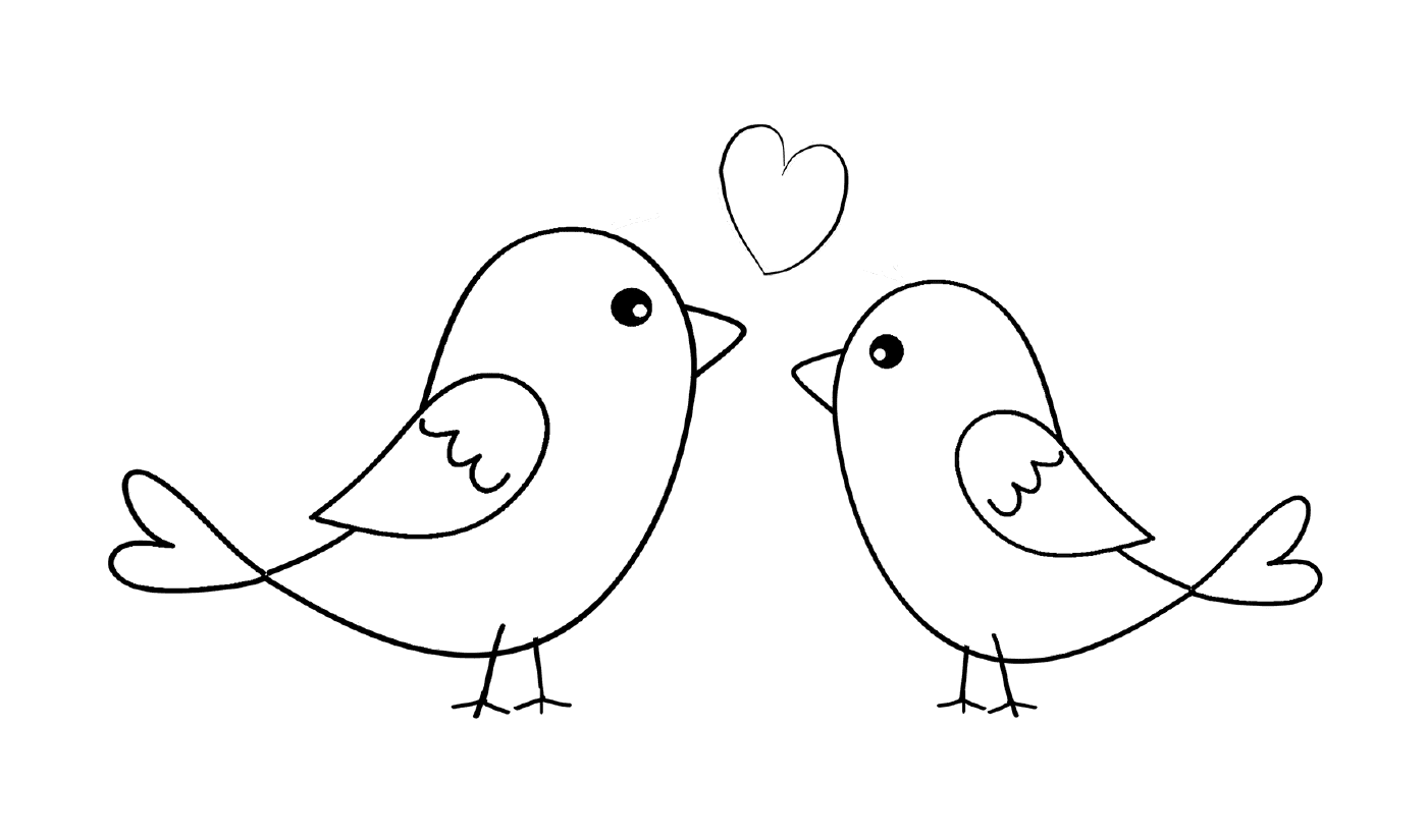 Birds in love, tenderness