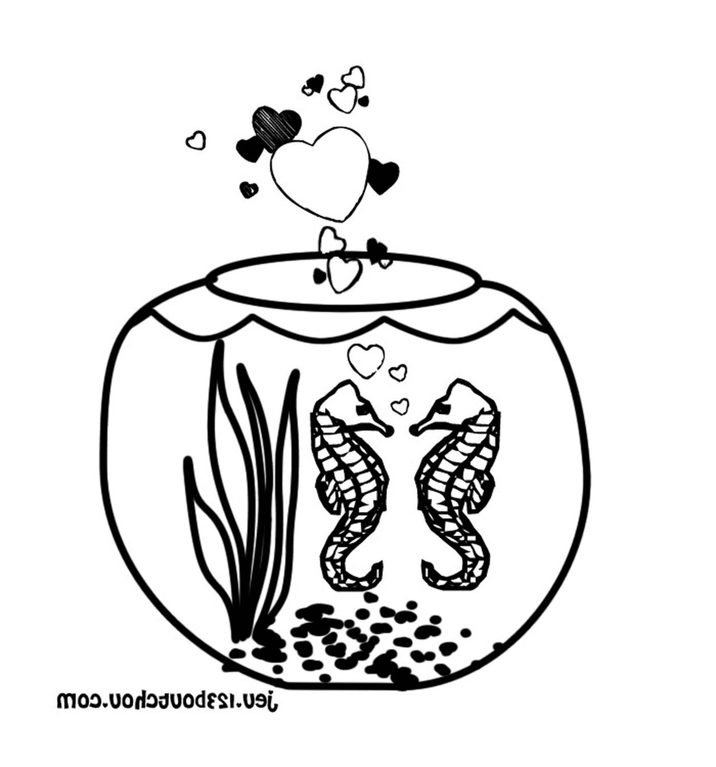  Ein Fischglas mit zwei Seepferdchen 