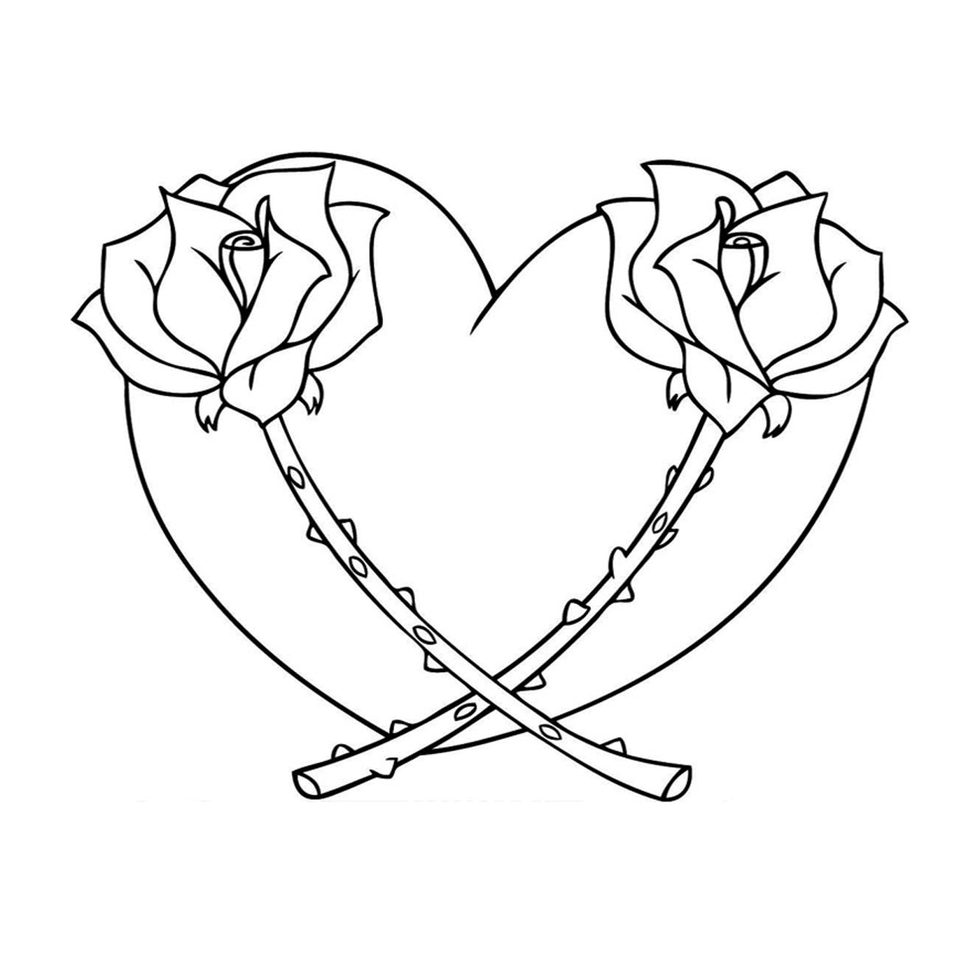  Dos rosas en forma de corazón 