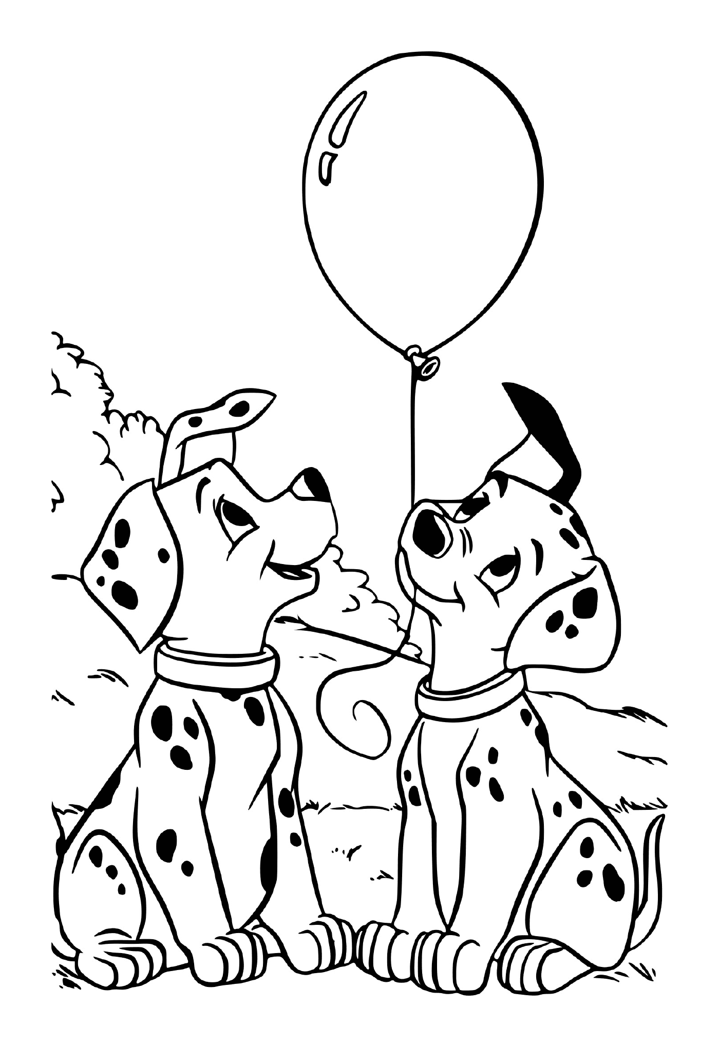  Two Dalmatians are watching a balloon 