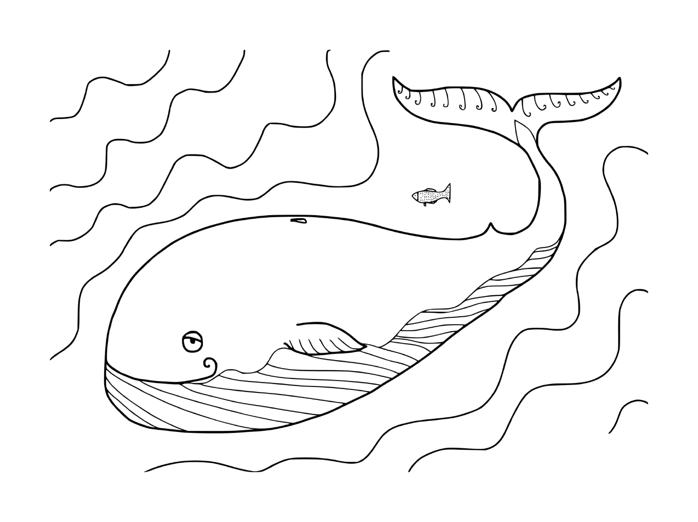  una balena e un pesce 