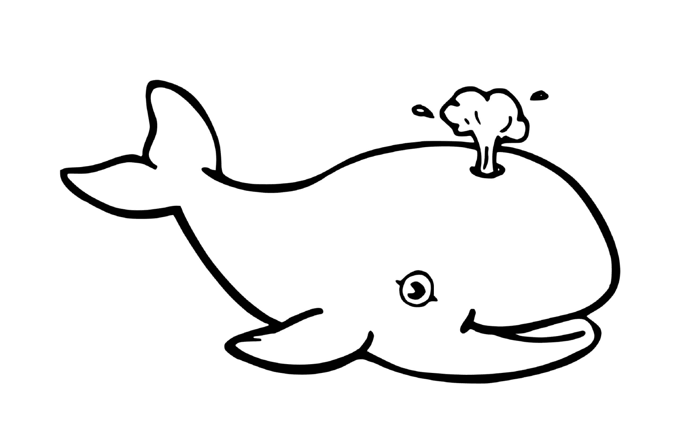  ein Wal und ein Pilz 