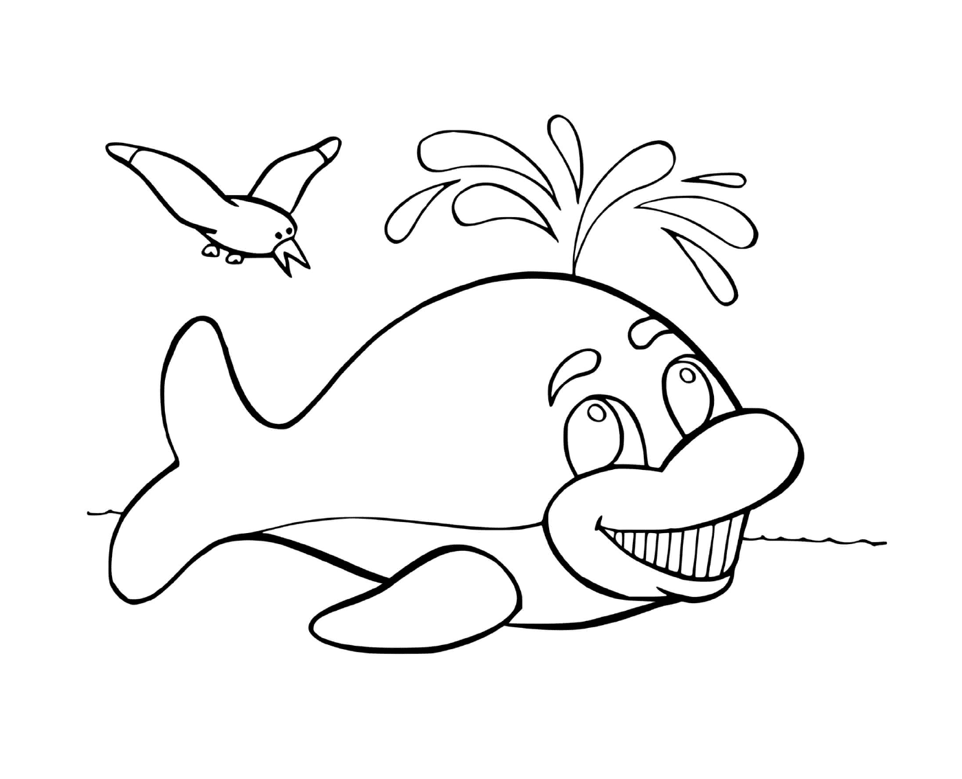  a whale and a bird 
