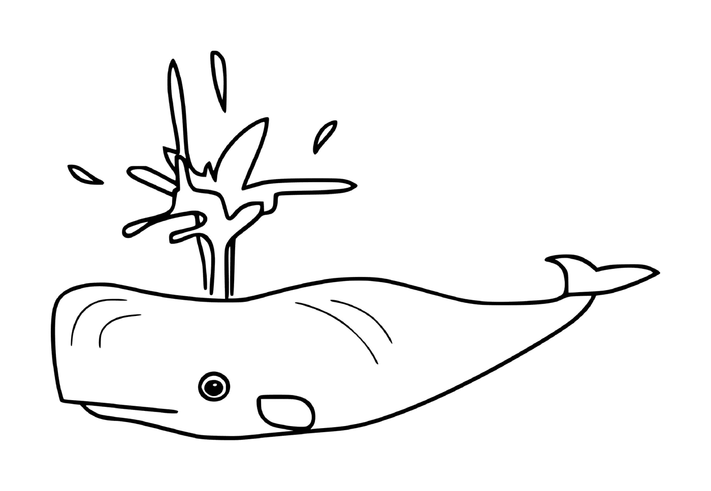  ein Wal mit einem Spritzer, der aus ihrem Mund kommt 