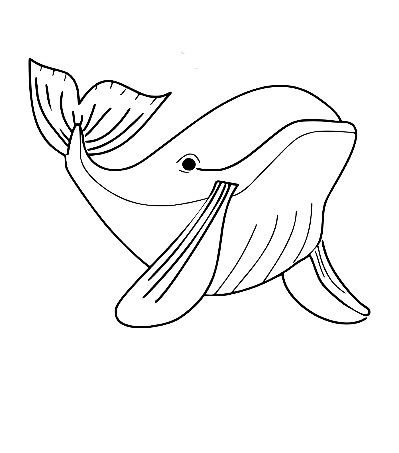  a whale 