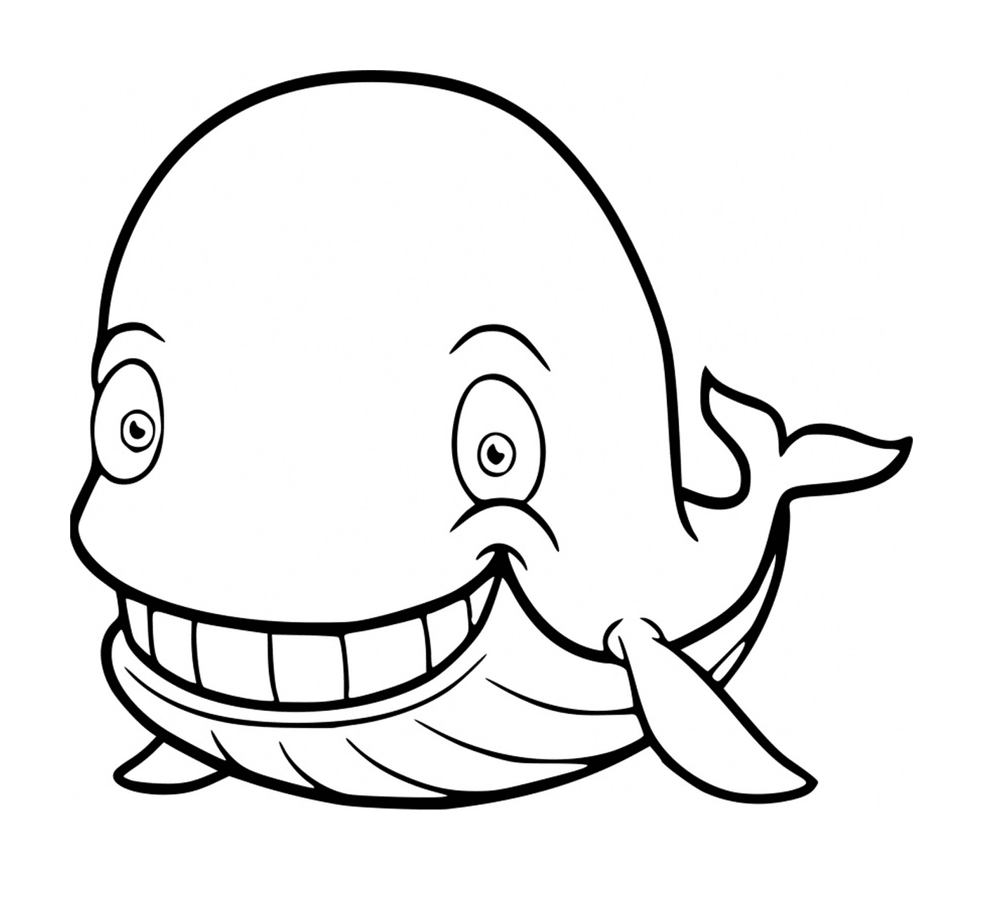  a smiling whale 