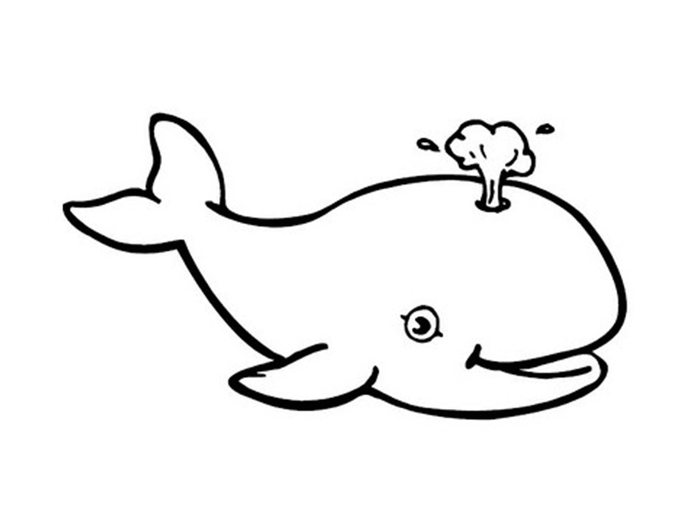 una ballena con un chapoteo saliendo de su cabeza 