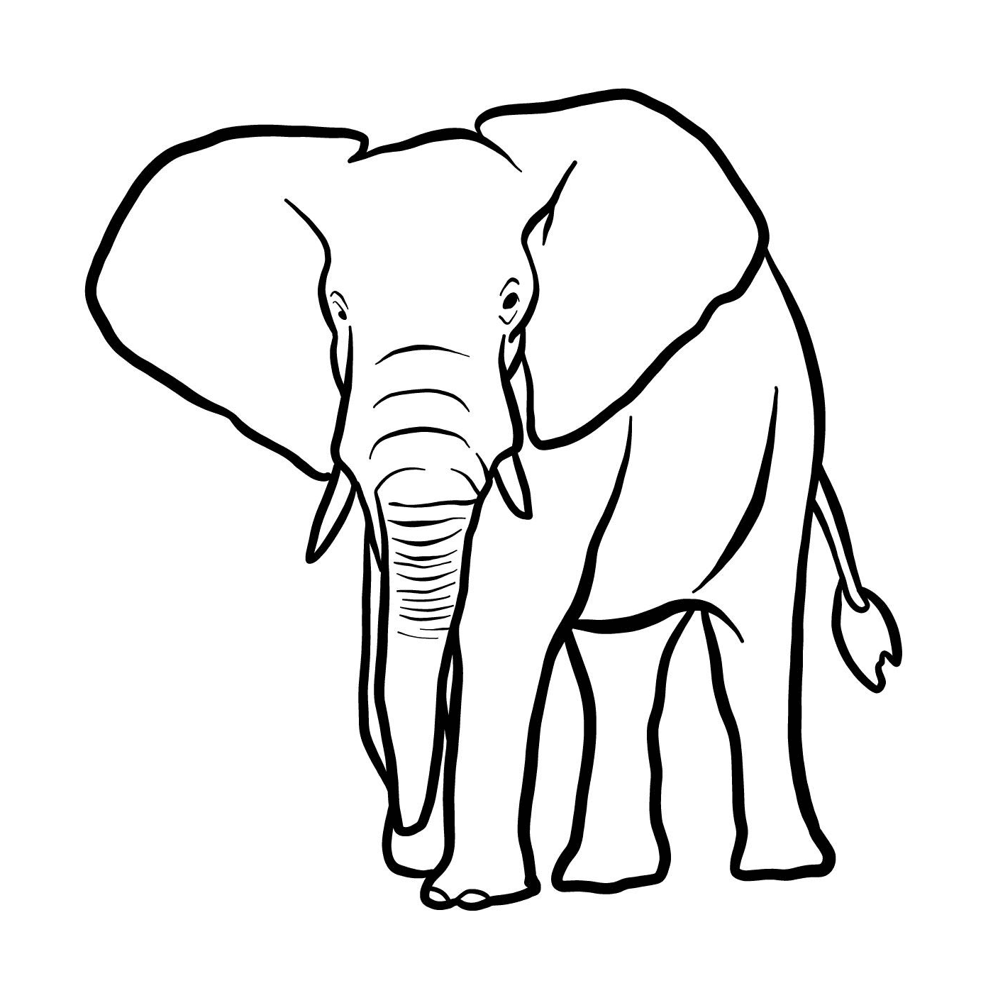  An elephant with tusks 