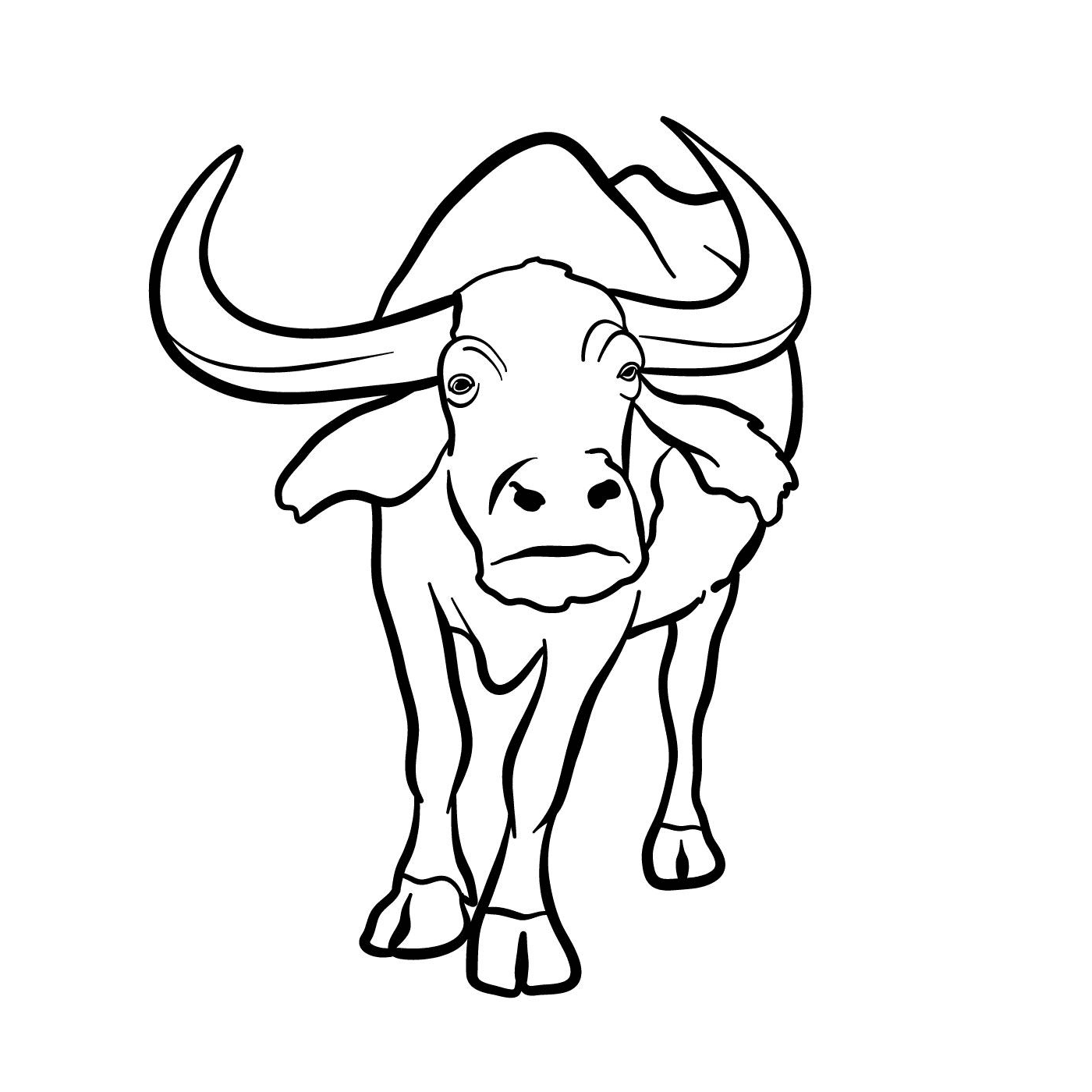 A bull with horns 